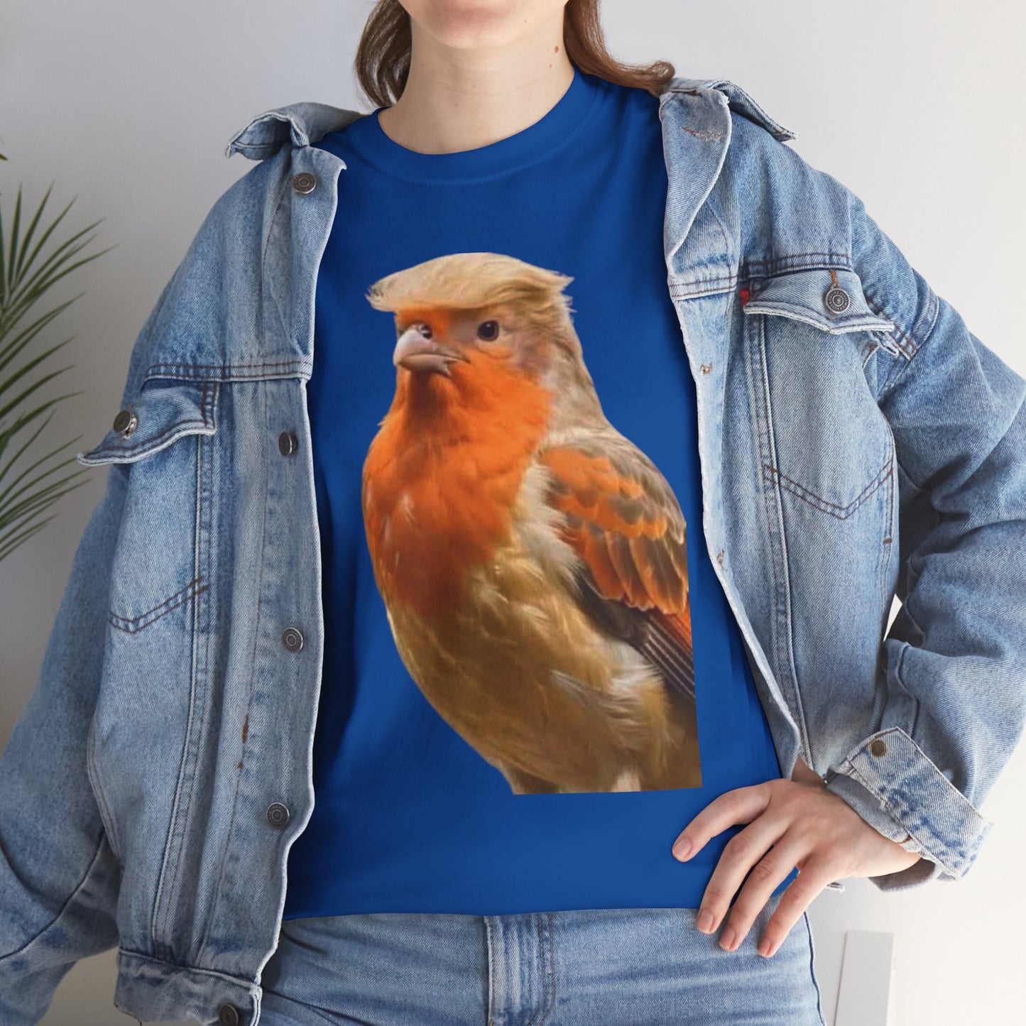 Robin Illustration T-Shirt — Cute Red-Breast Bird Graphic Tee