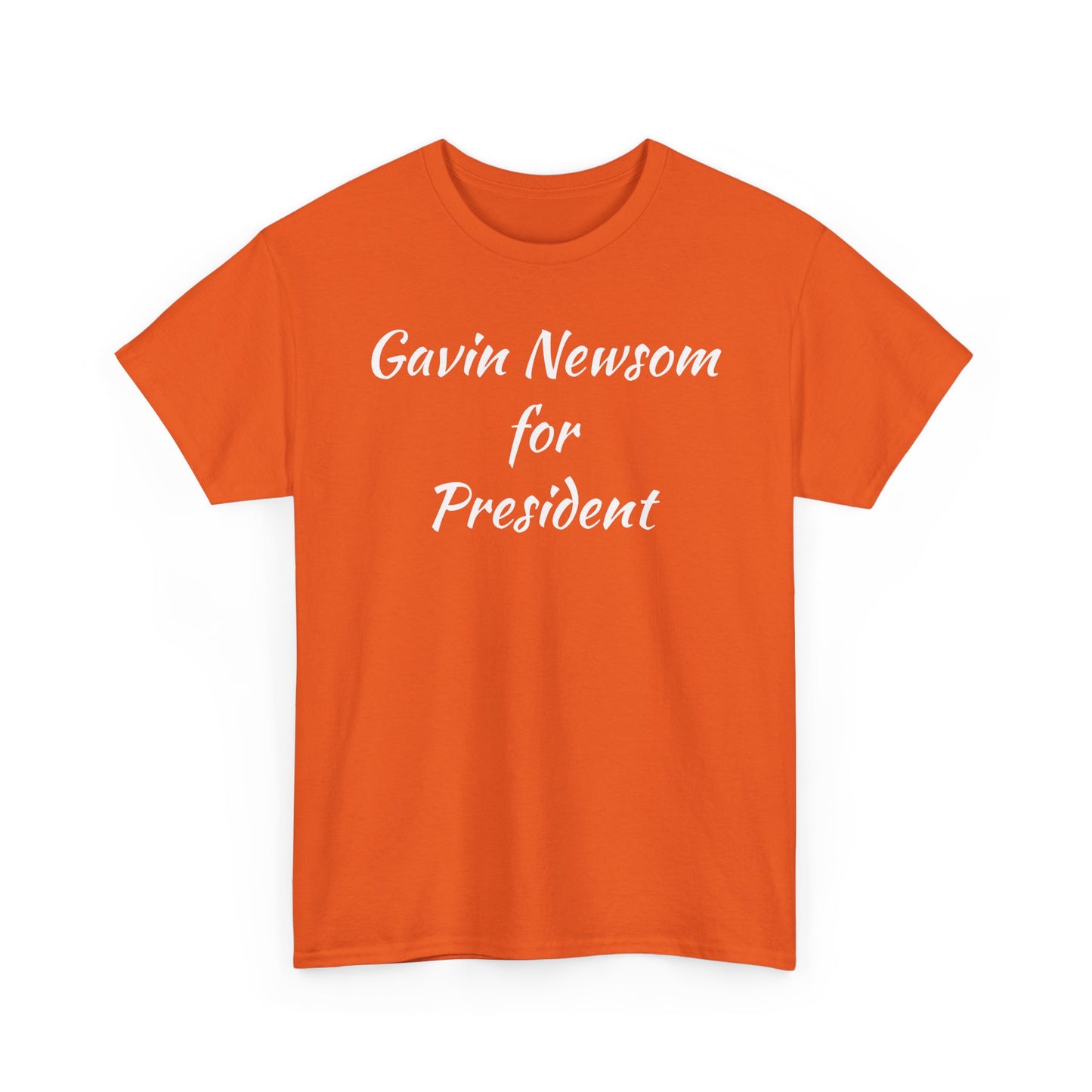 Gavin Newsom Campaign
