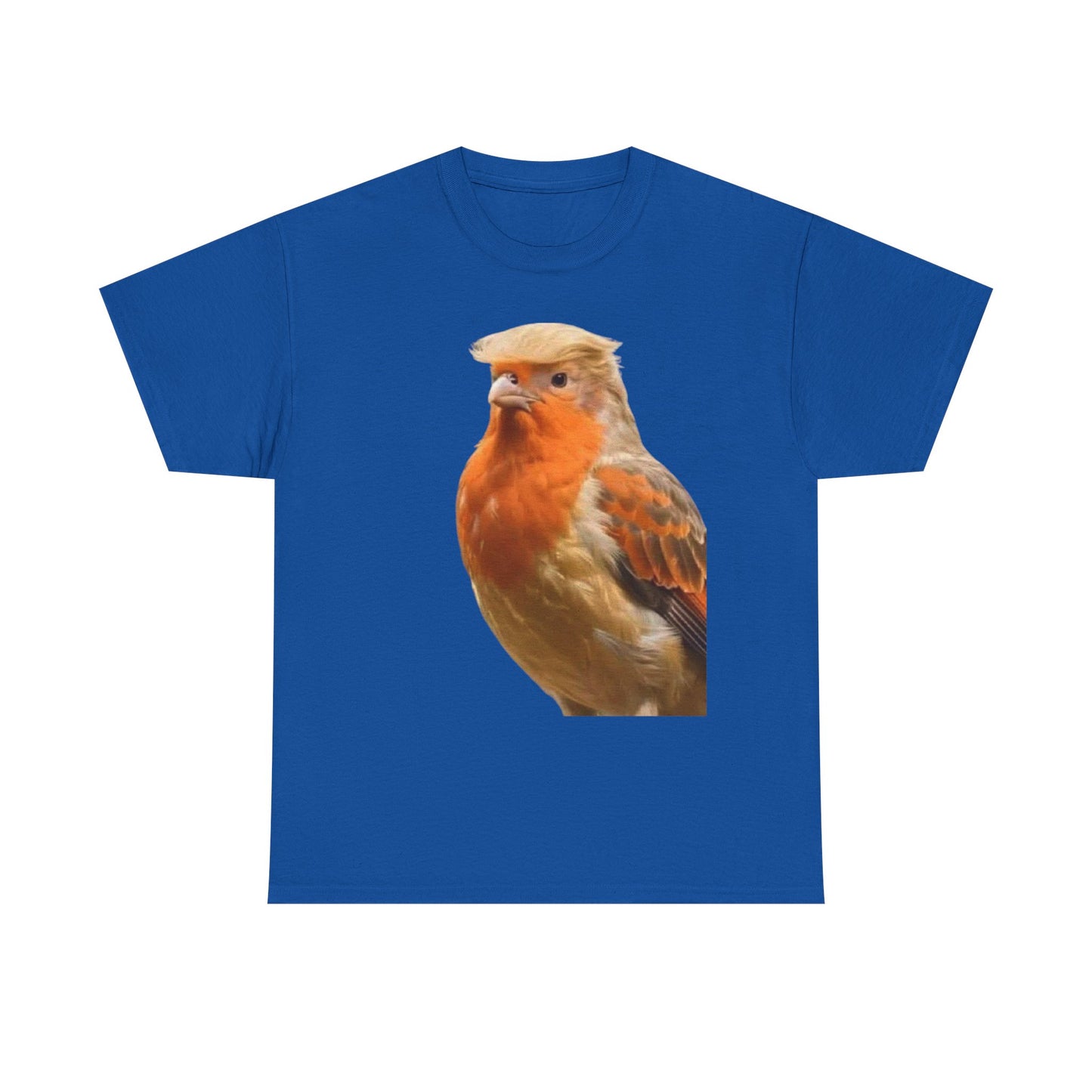 Robin Illustration T-Shirt — Cute Red-Breast Bird Graphic Tee