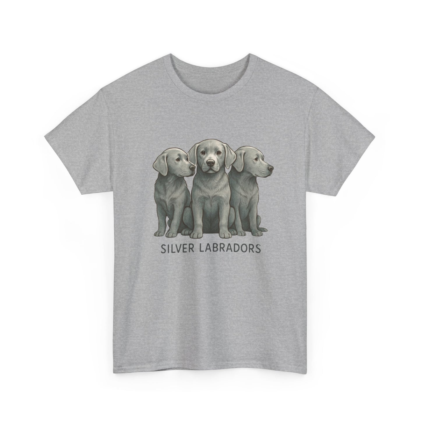 Silver Labrador