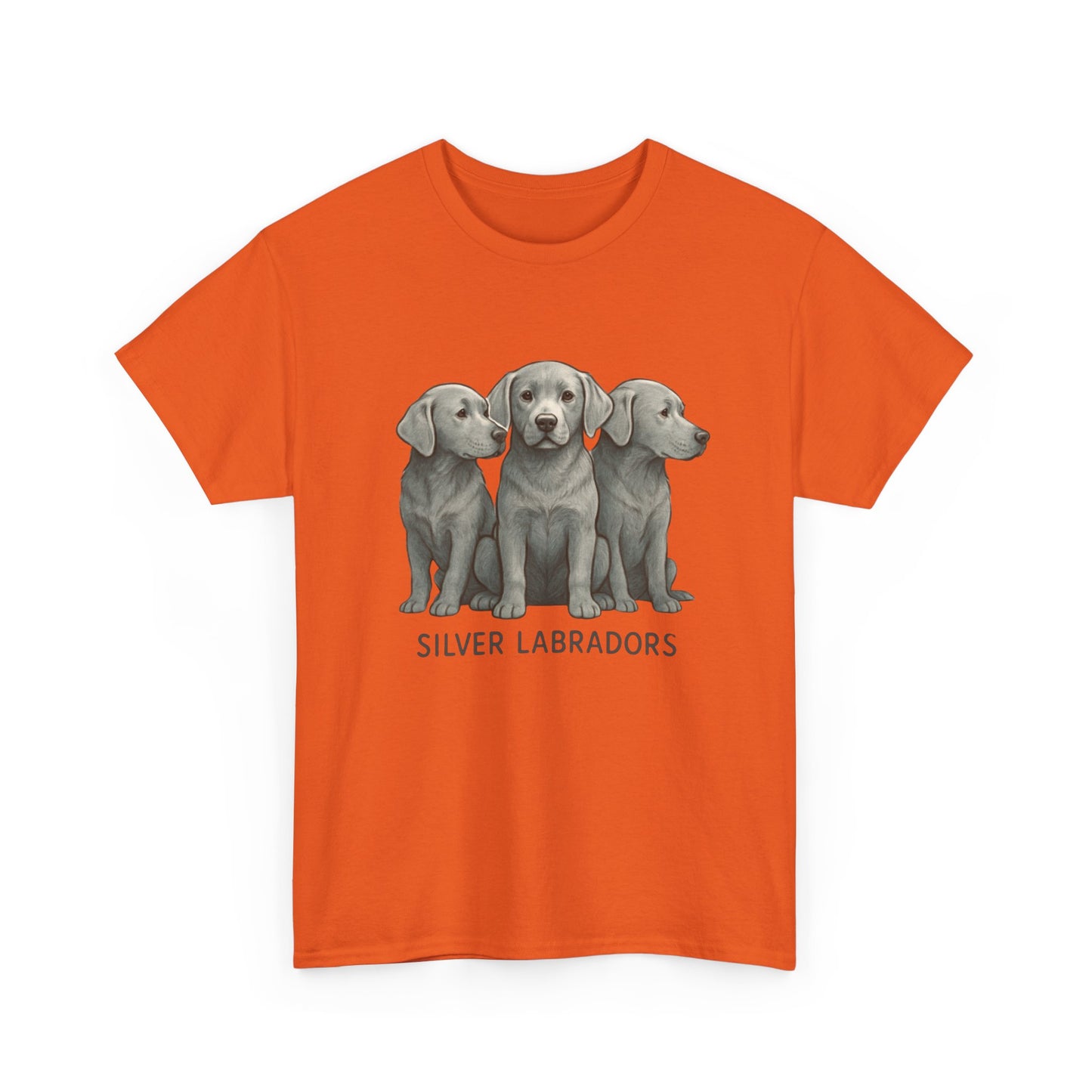 Silver Labrador