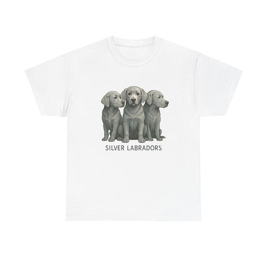 Silver Labrador