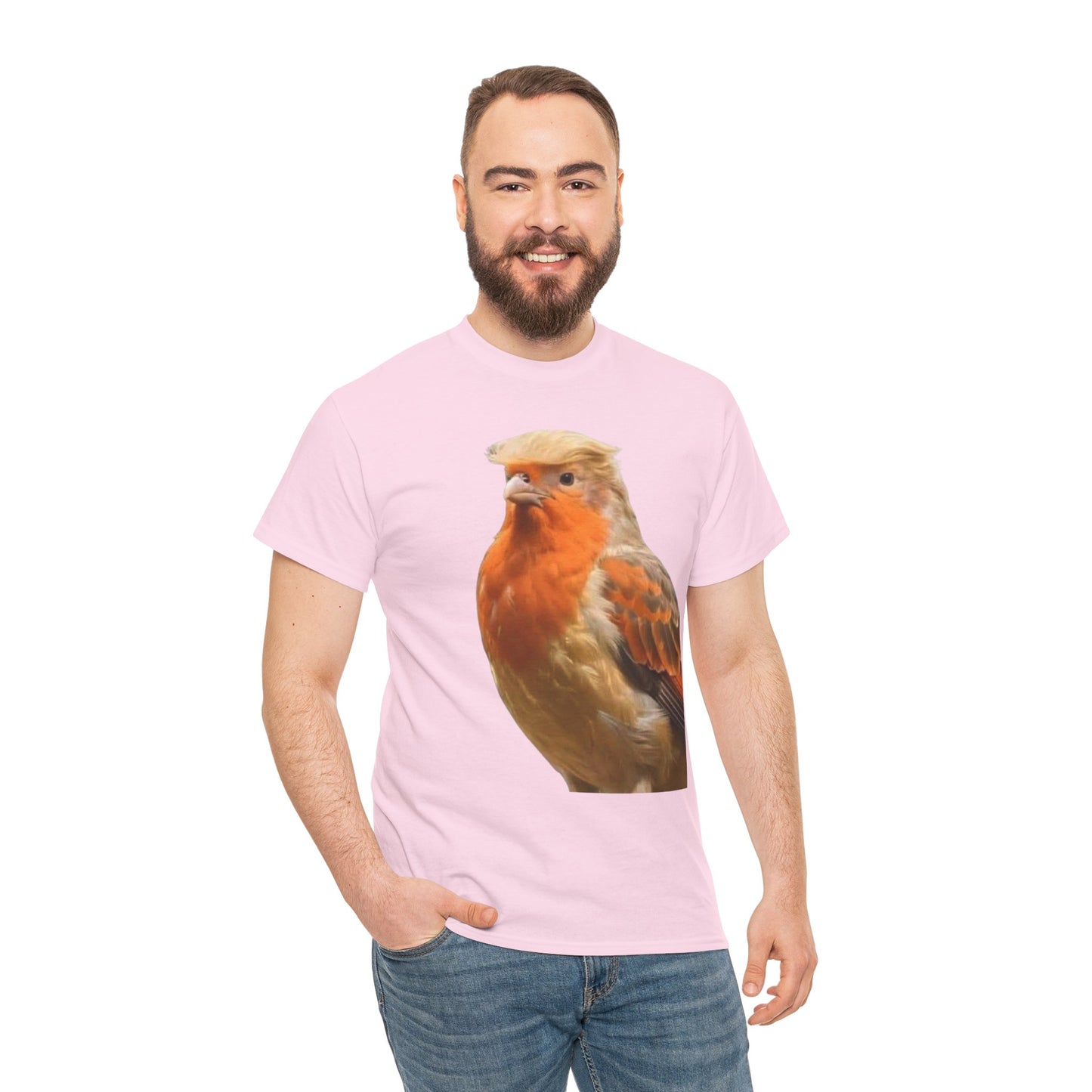 Robin Illustration T-Shirt — Cute Red-Breast Bird Graphic Tee