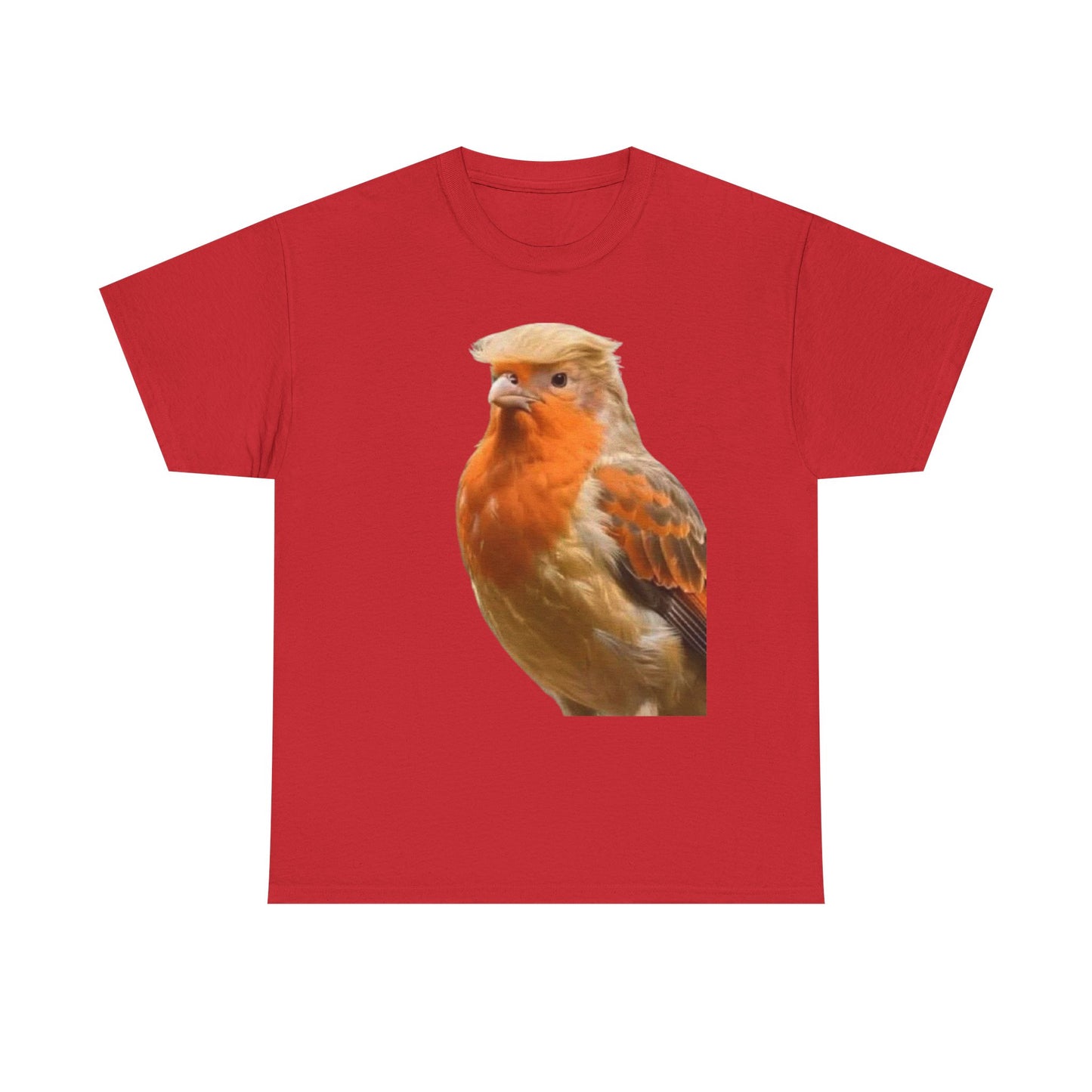Robin Illustration T-Shirt — Cute Red-Breast Bird Graphic Tee