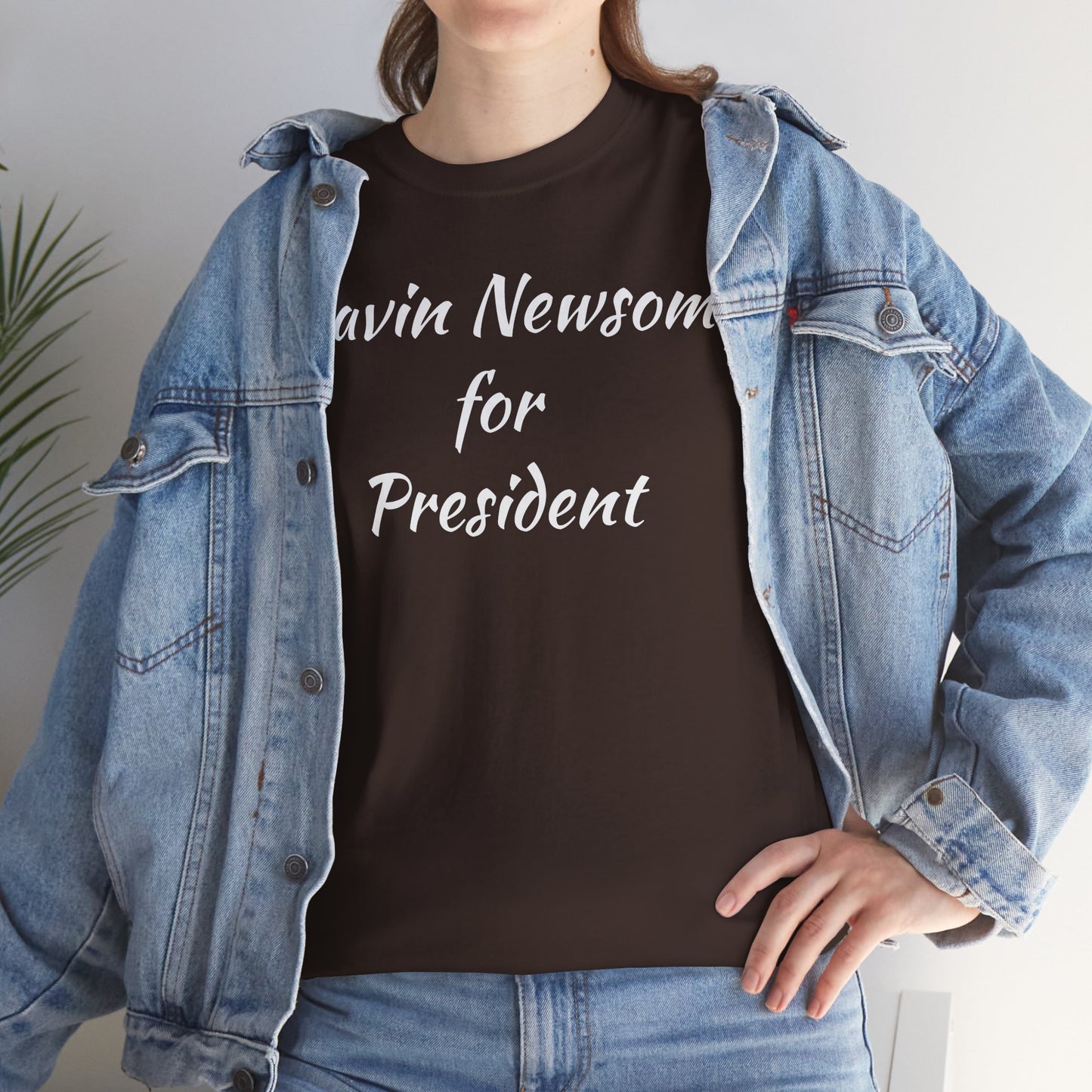 Gavin Newsom Campaign