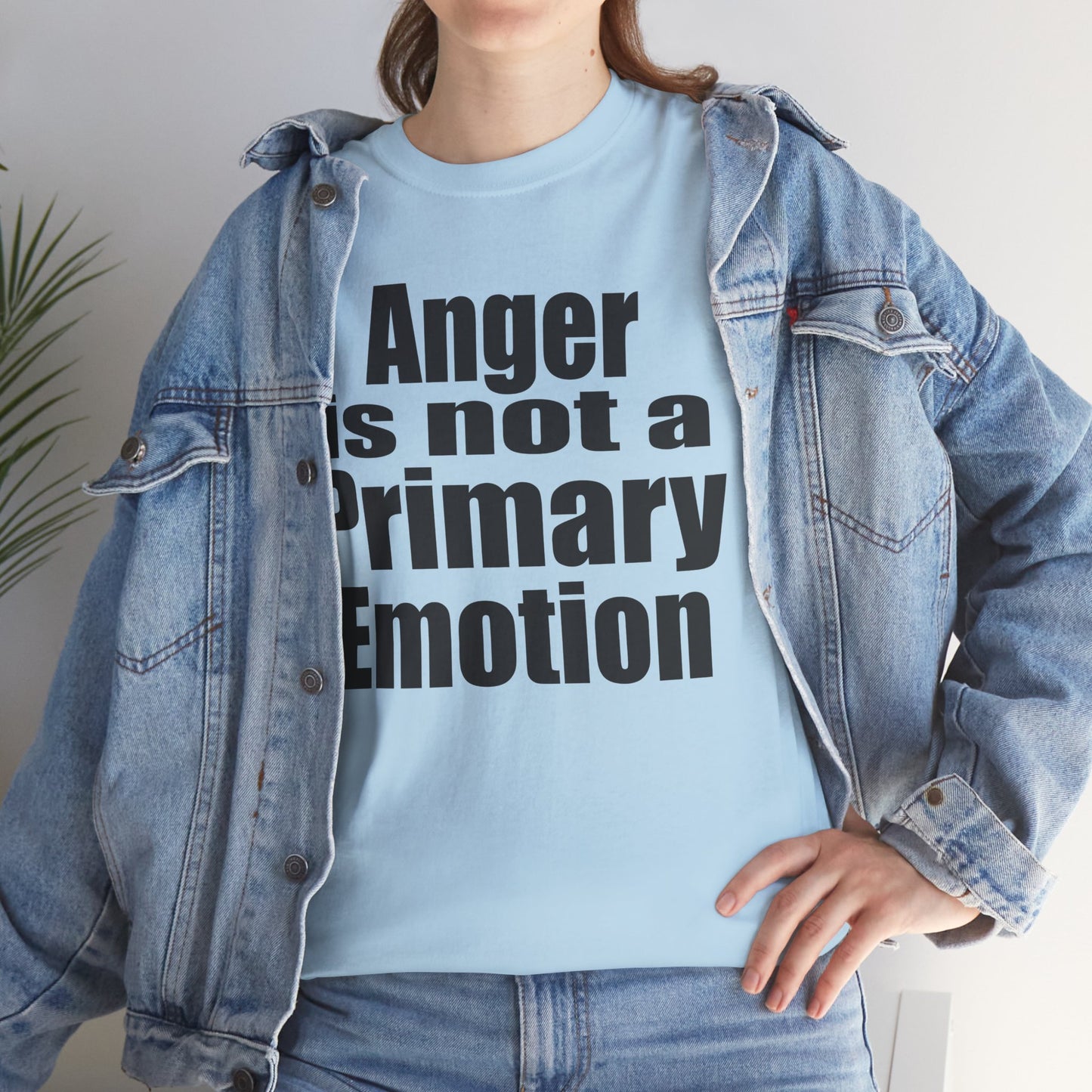 Anger is not a Primary Emotion
