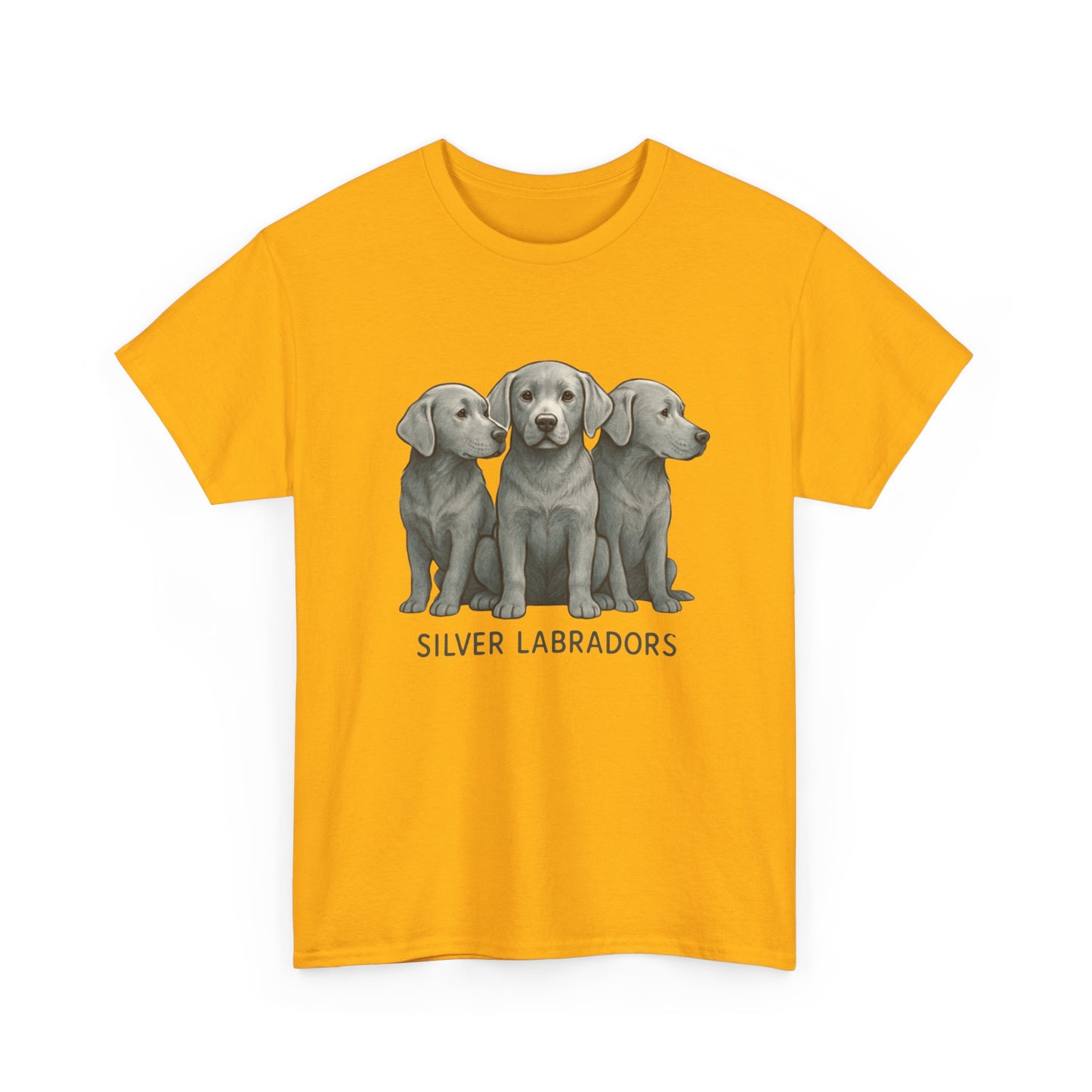 Silver Labrador