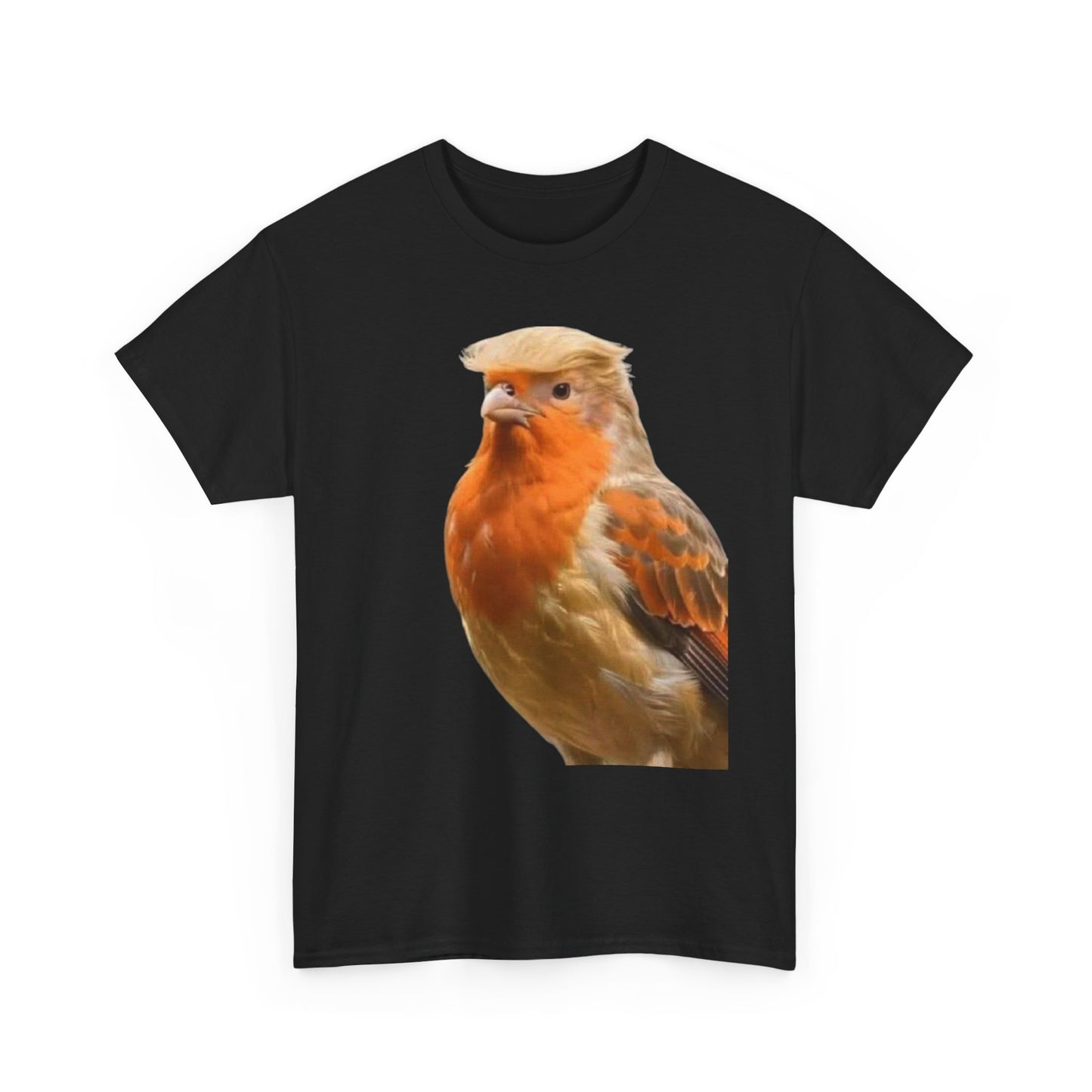 Robin Illustration T-Shirt — Cute Red-Breast Bird Graphic Tee