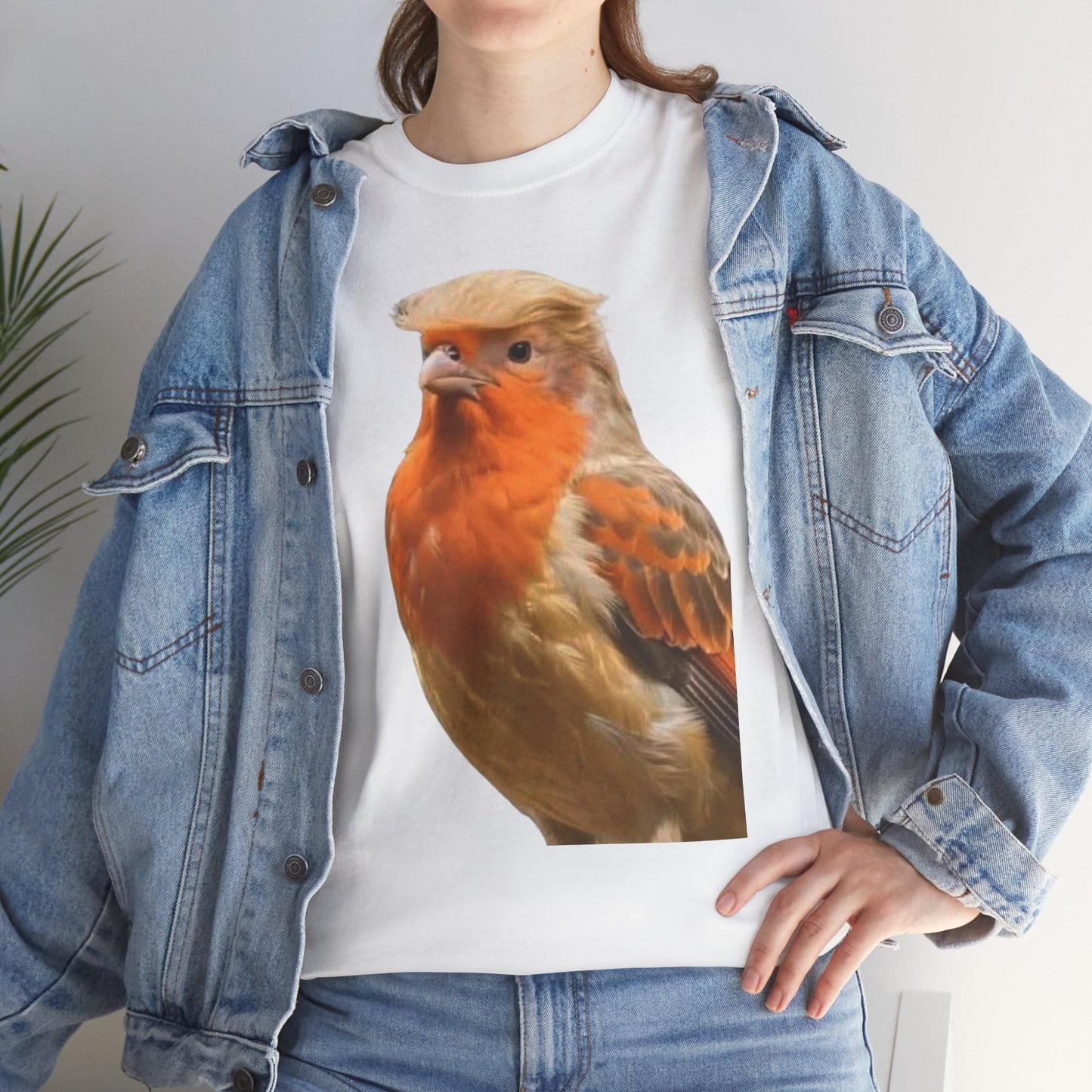 Robin Illustration T-Shirt — Cute Red-Breast Bird Graphic Tee