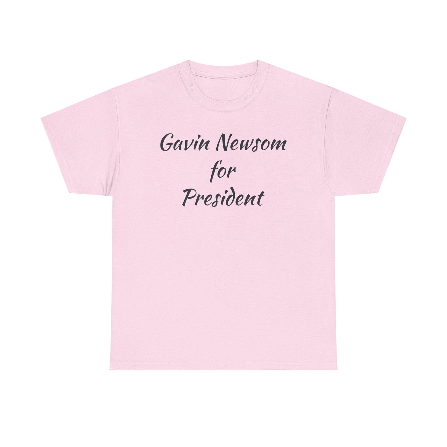 Gavin Newsom Campaign