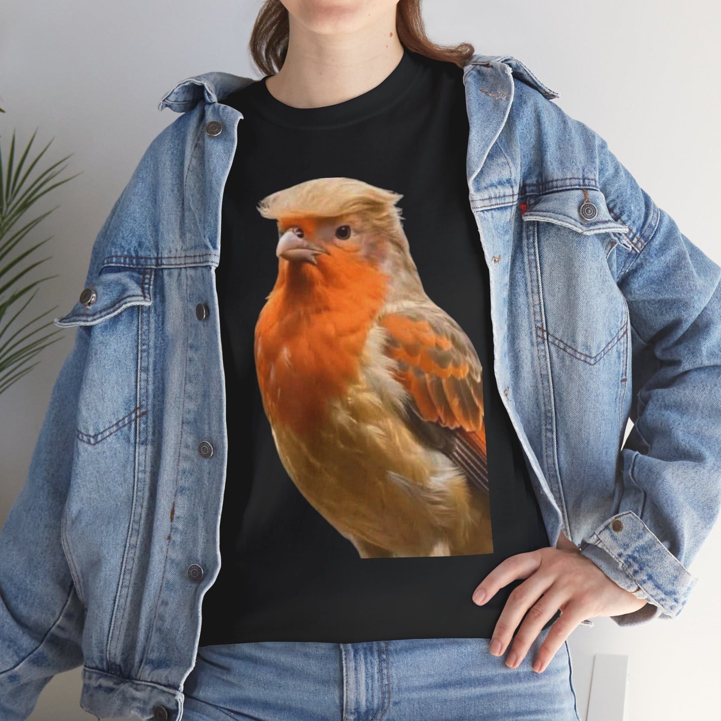 Robin Illustration T-Shirt — Cute Red-Breast Bird Graphic Tee