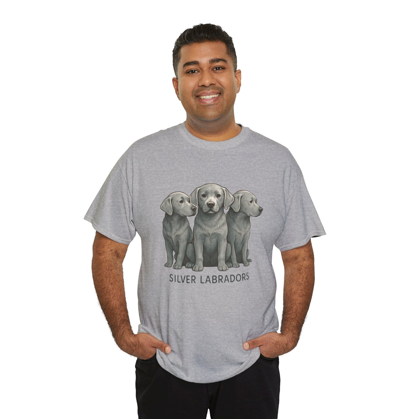 Silver Labrador