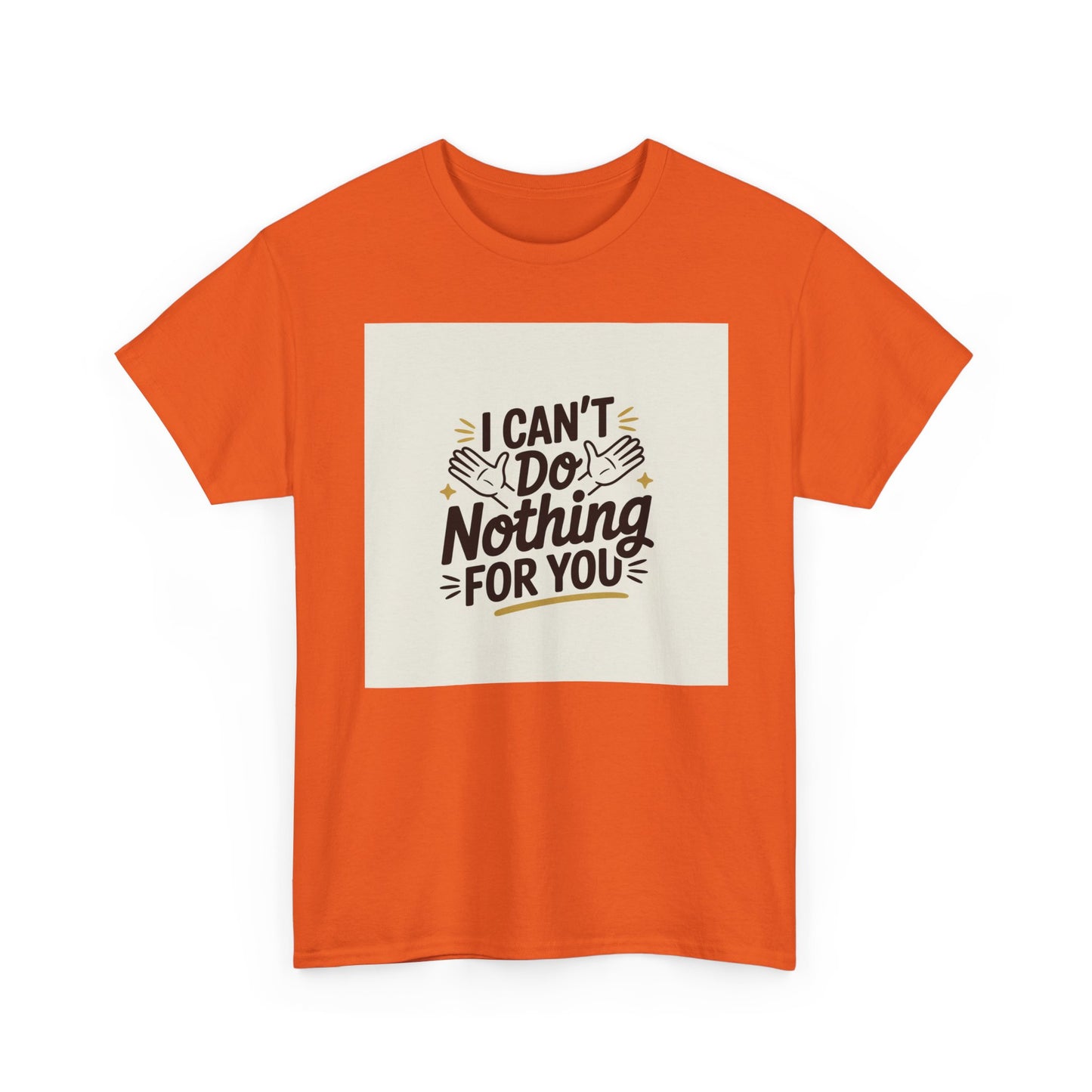 I Can't Do Nothing For You Tee — Funny Sarcastic Graphic Shirt