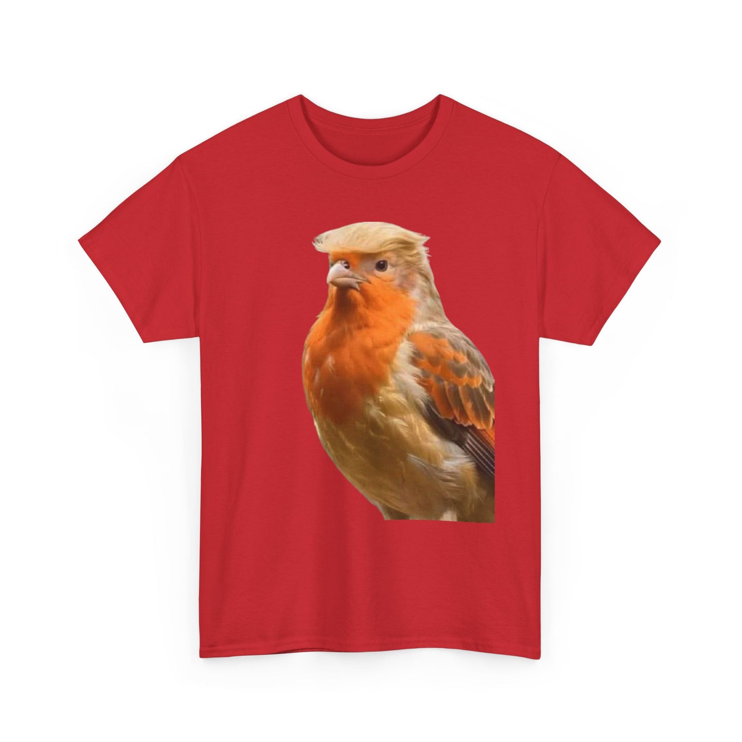 Robin Illustration T-Shirt — Cute Red-Breast Bird Graphic Tee