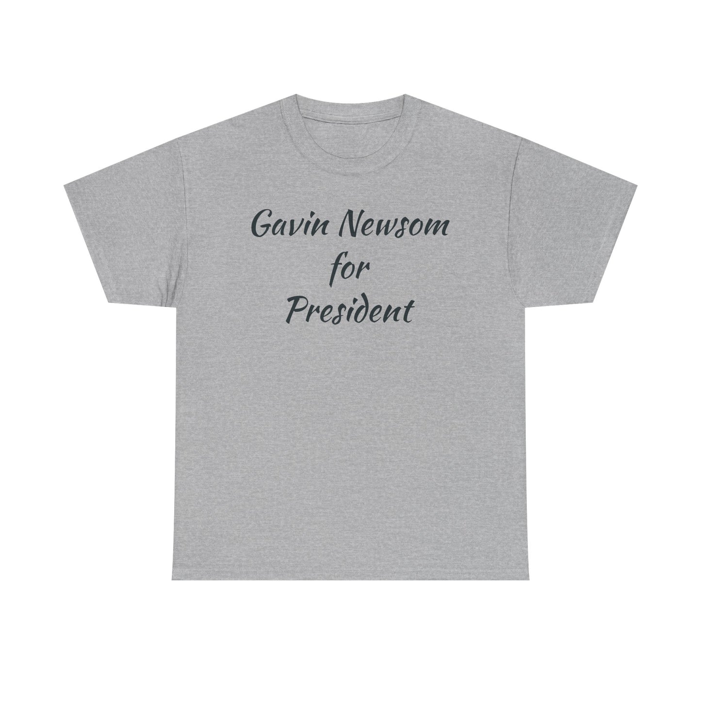 Gavin Newsom Campaign