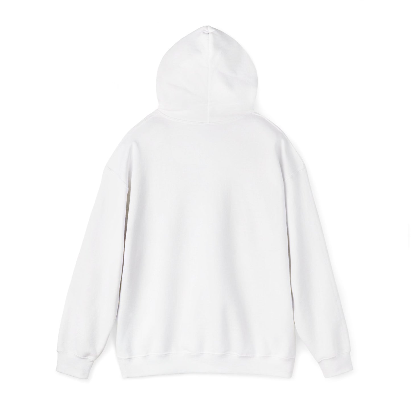 C-RYDERZ DMV Hoodie