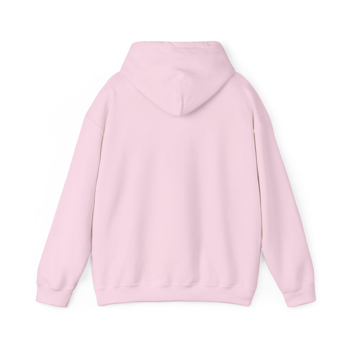 C-RYDERZ DMV Hoodie