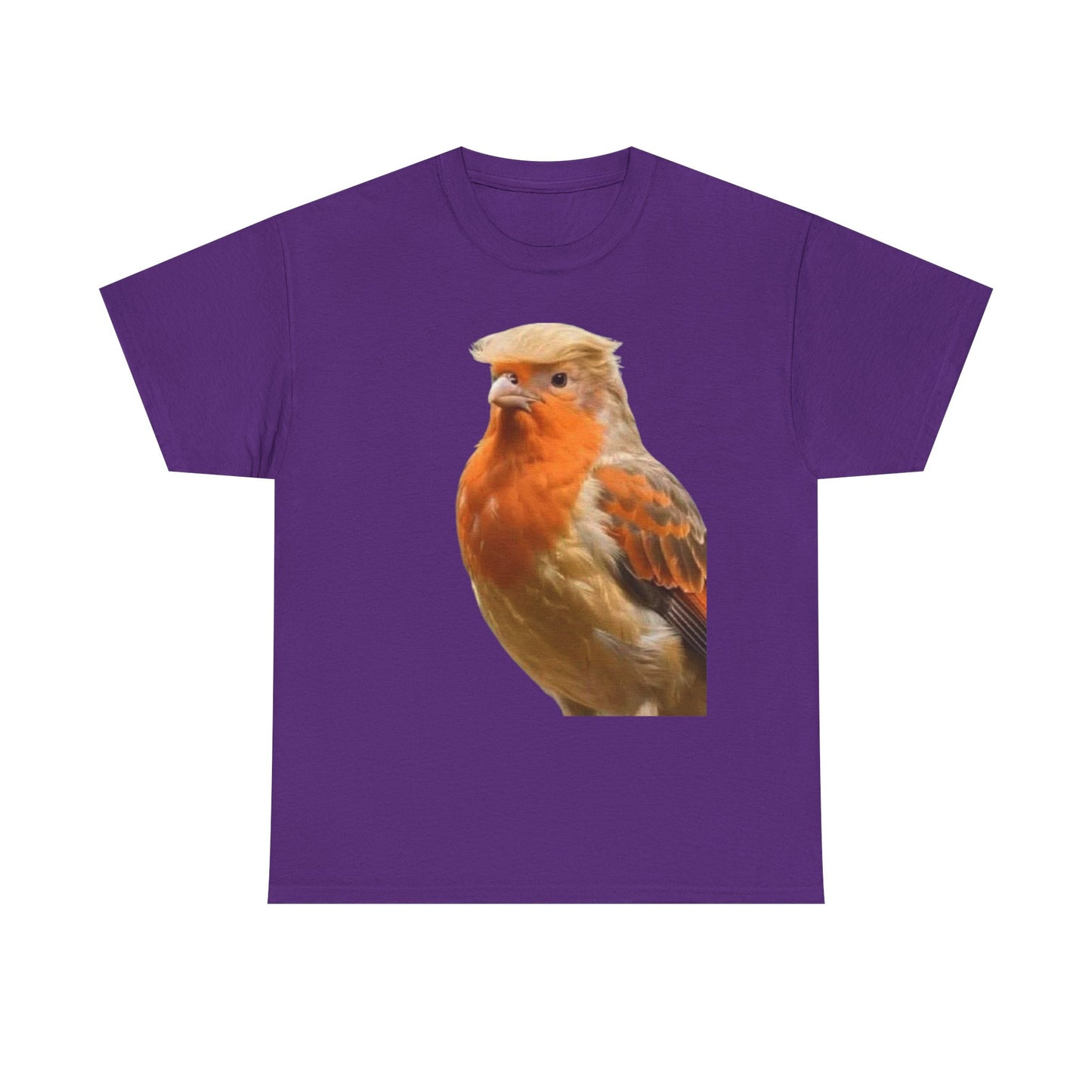 Robin Illustration T-Shirt — Cute Red-Breast Bird Graphic Tee
