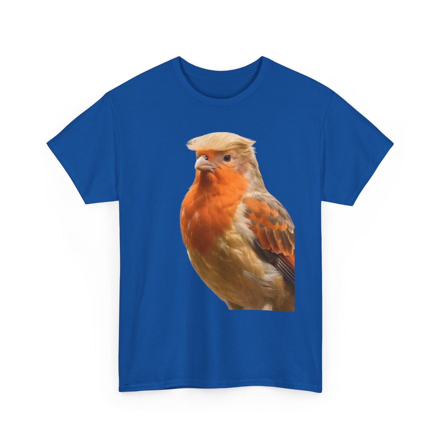 Robin Illustration T-Shirt — Cute Red-Breast Bird Graphic Tee