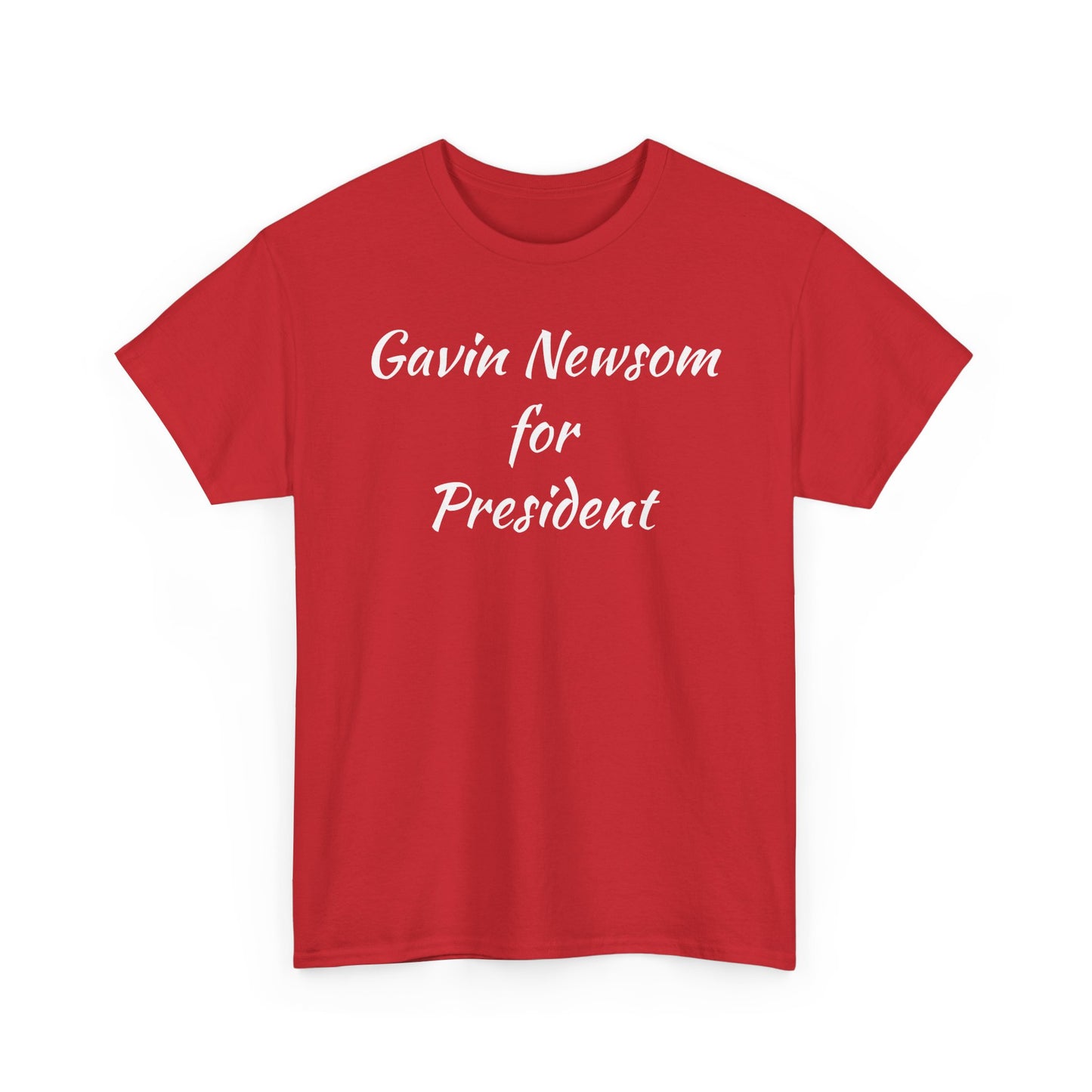 Gavin Newsom Campaign