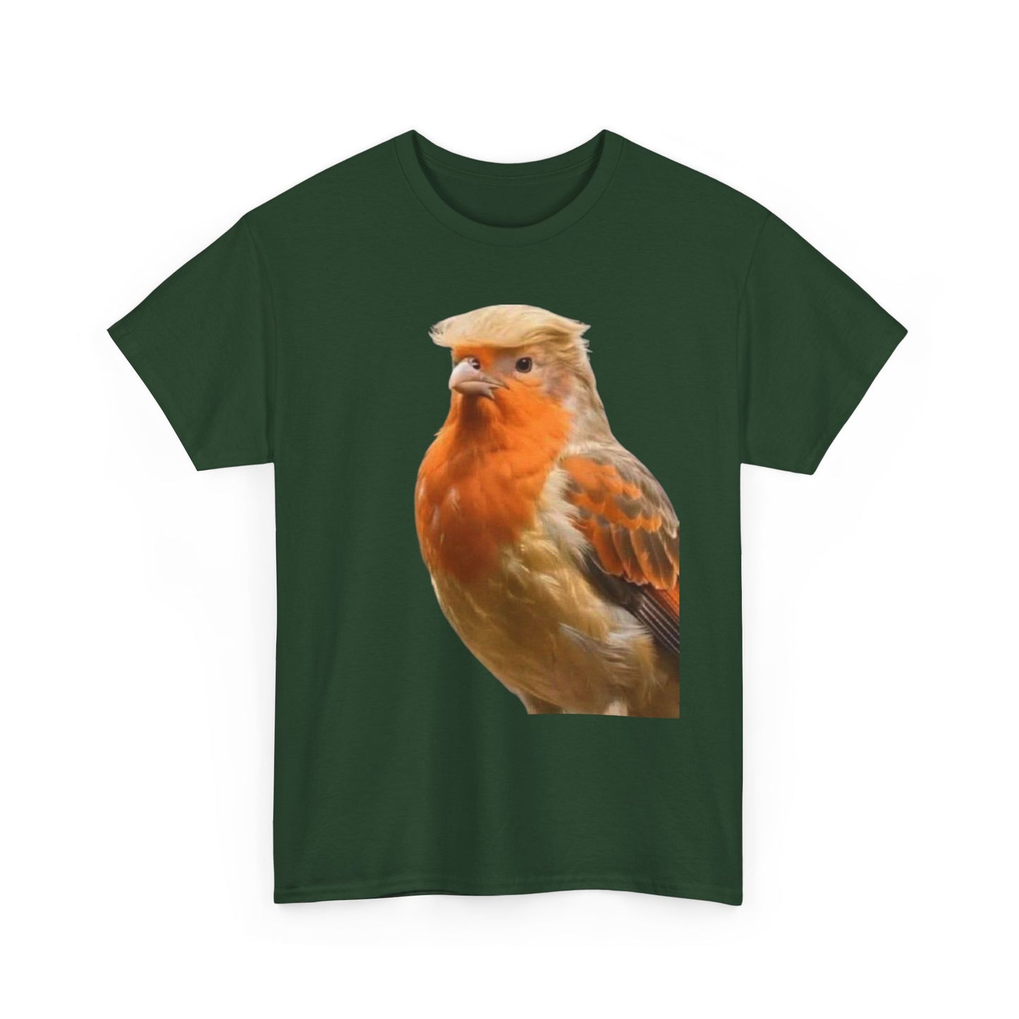 Robin Illustration T-Shirt — Cute Red-Breast Bird Graphic Tee