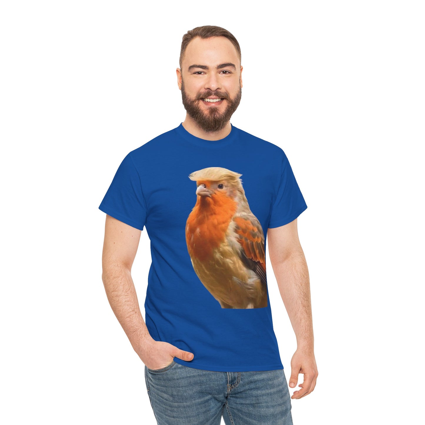 Robin Illustration T-Shirt — Cute Red-Breast Bird Graphic Tee