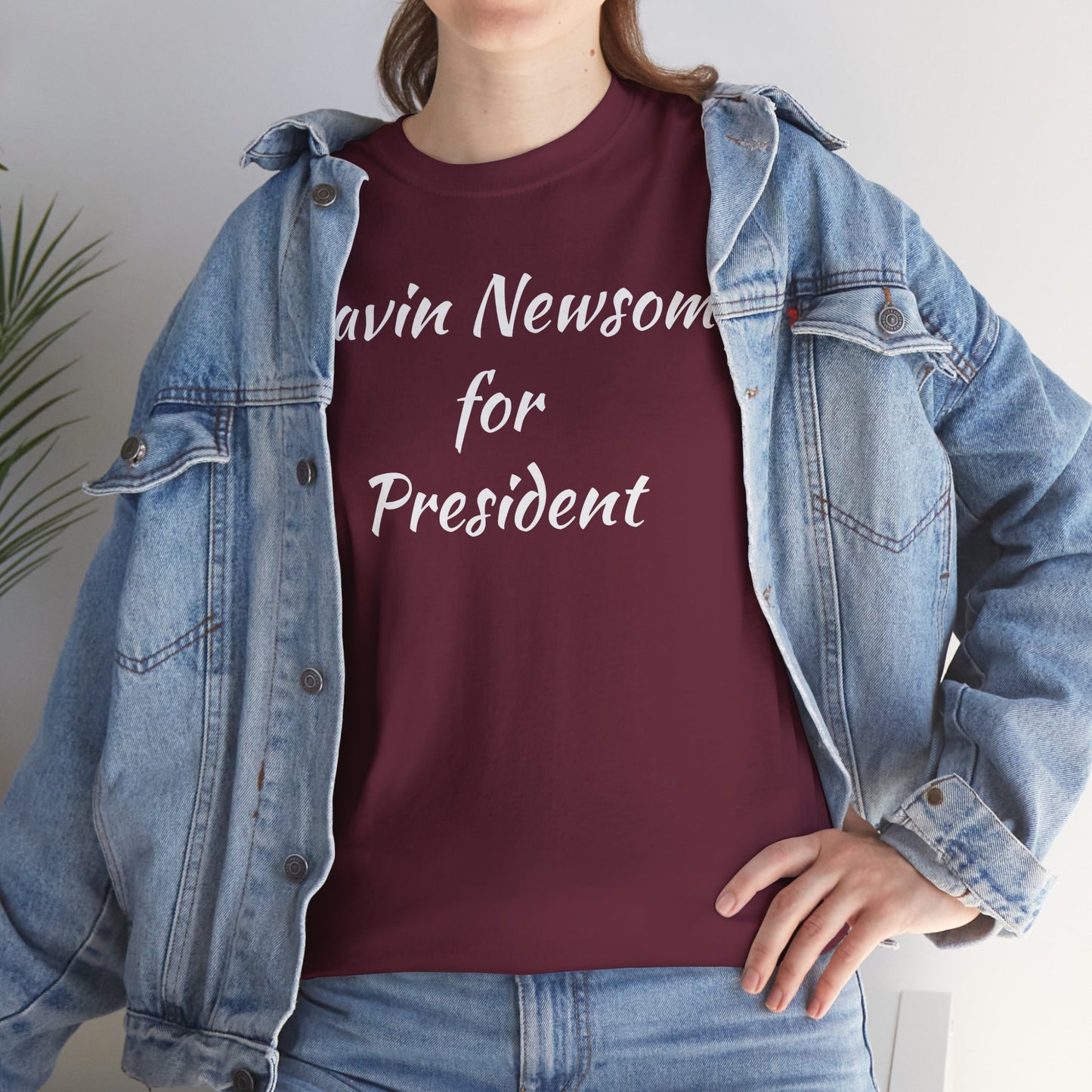 Gavin Newsom Campaign