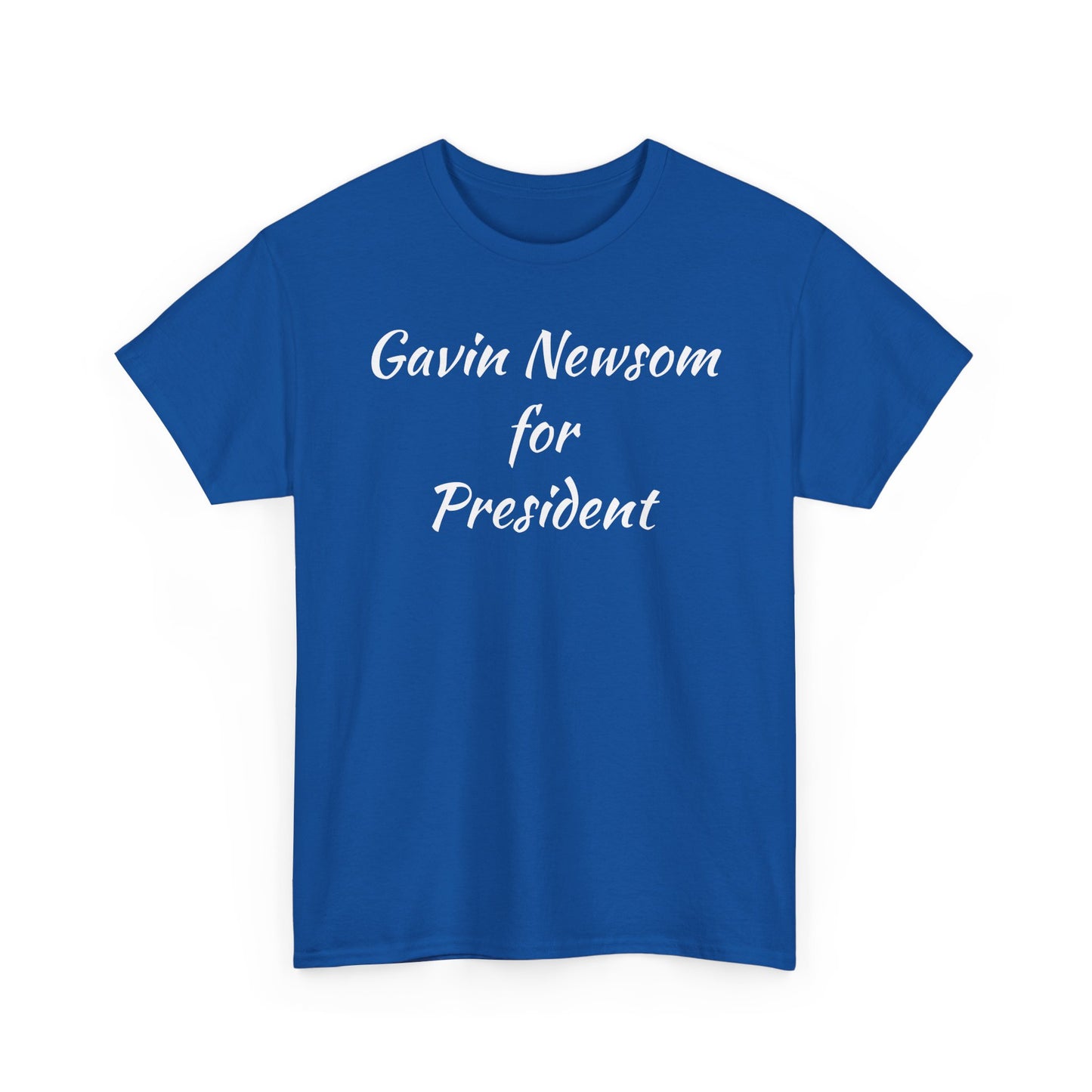 Gavin Newsom Campaign