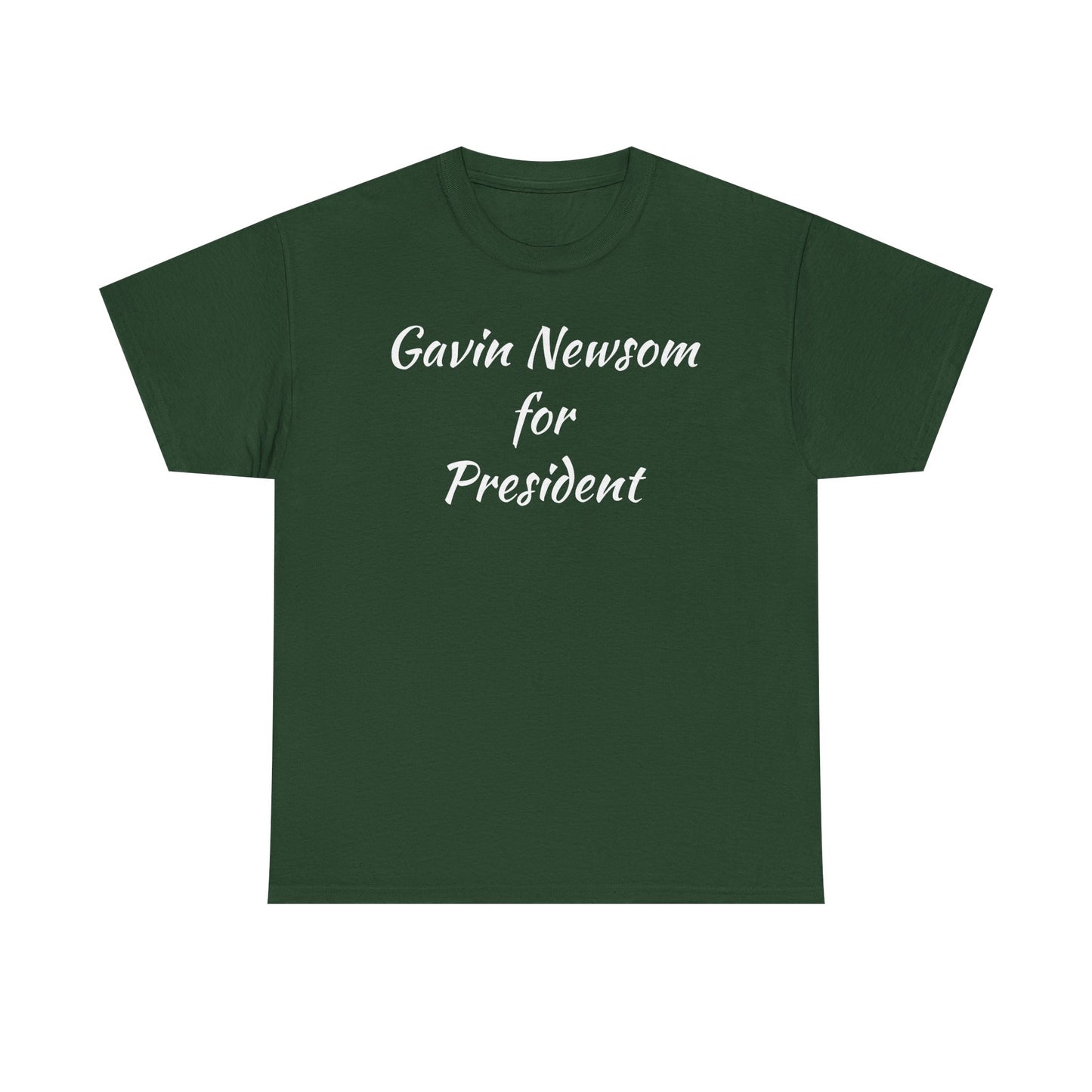 Gavin Newsom Campaign