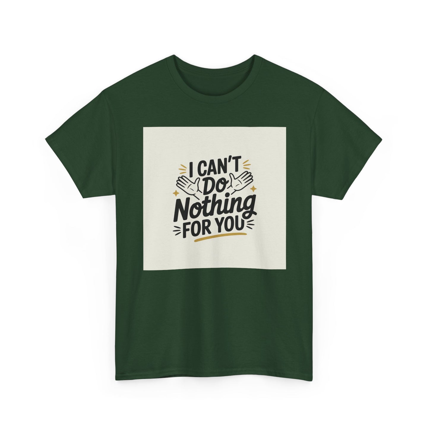 I Can't Do Nothing For You Tee — Funny Sarcastic Graphic Shirt