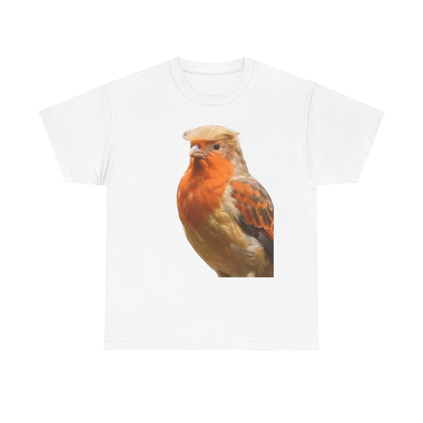 Robin Illustration T-Shirt — Cute Red-Breast Bird Graphic Tee