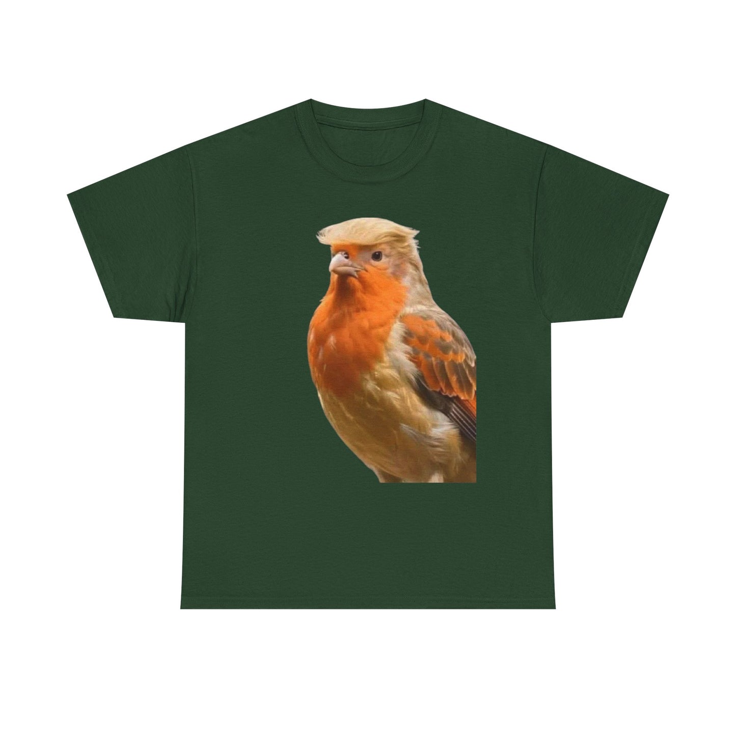 Robin Illustration T-Shirt — Cute Red-Breast Bird Graphic Tee
