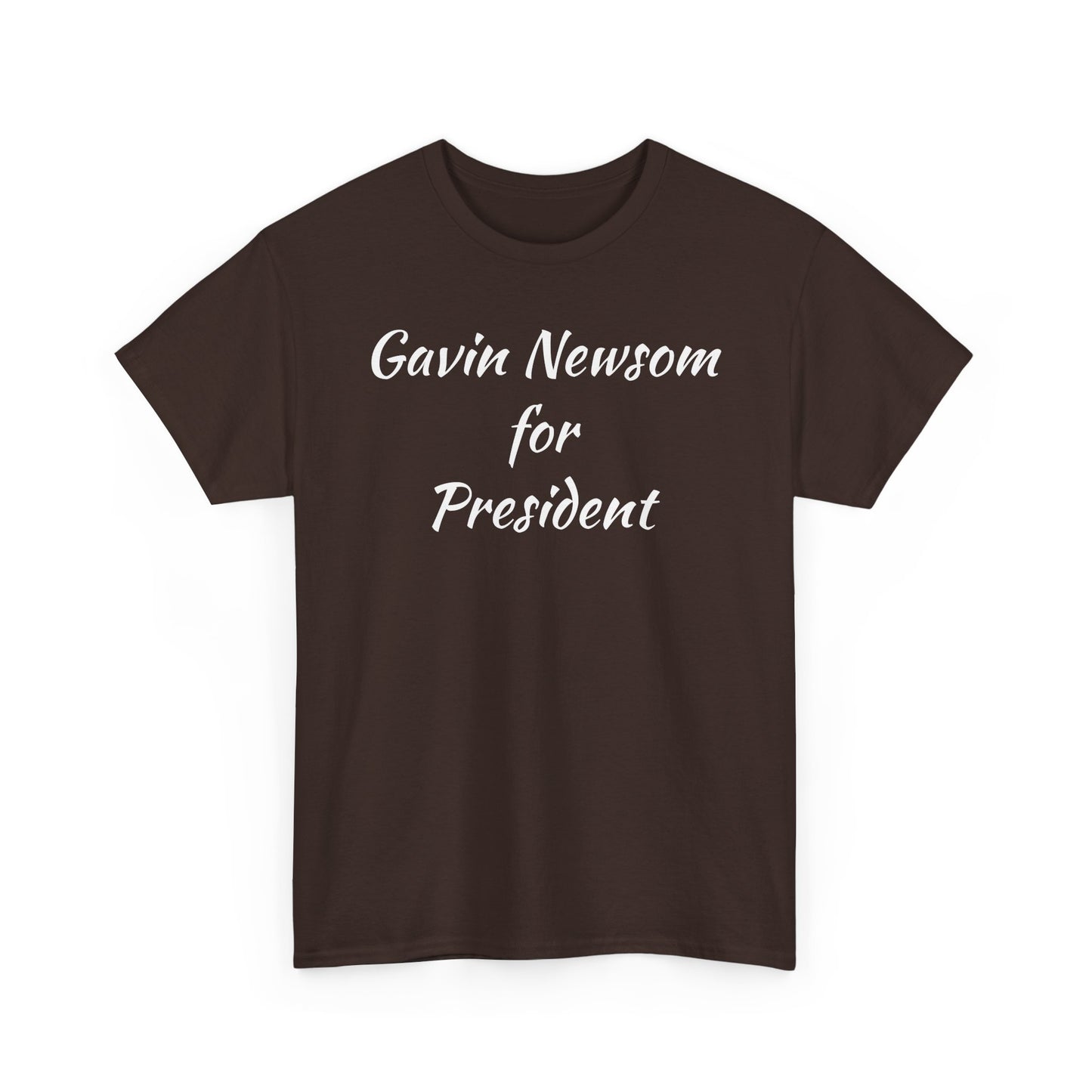 Gavin Newsom Campaign