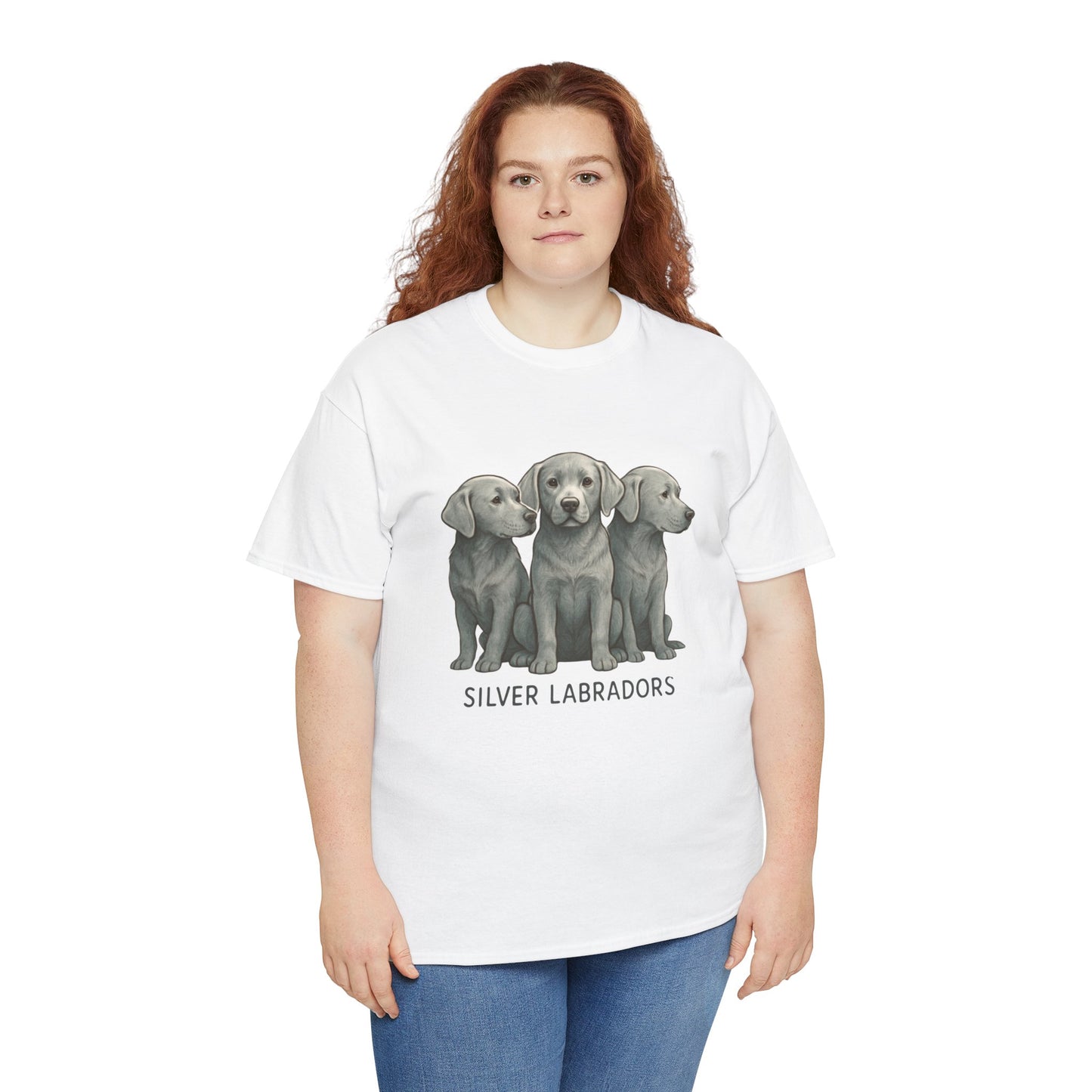 Silver Labrador