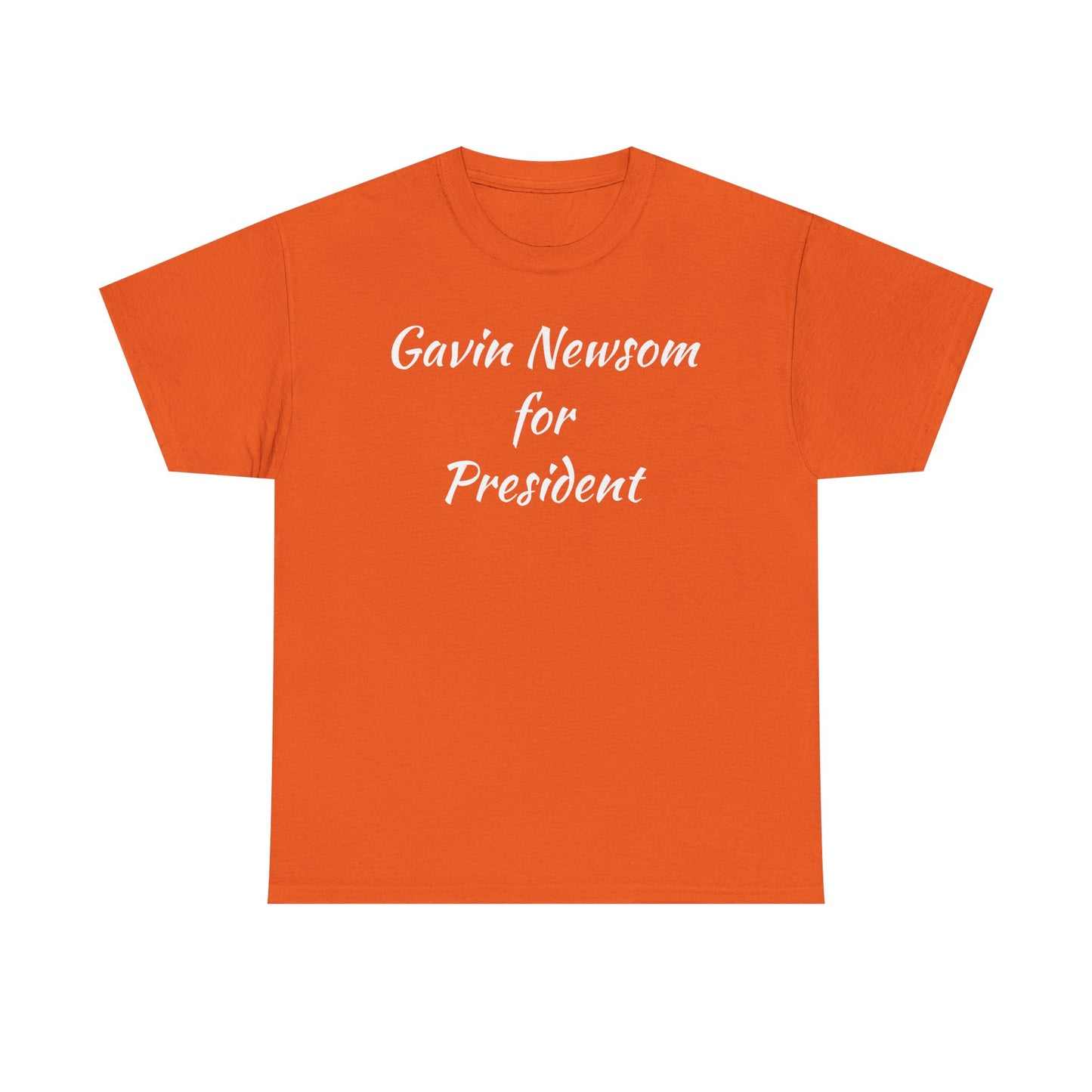 Gavin Newsom Campaign