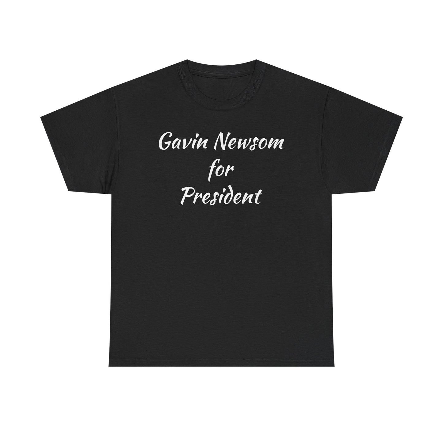 Gavin Newsom Campaign