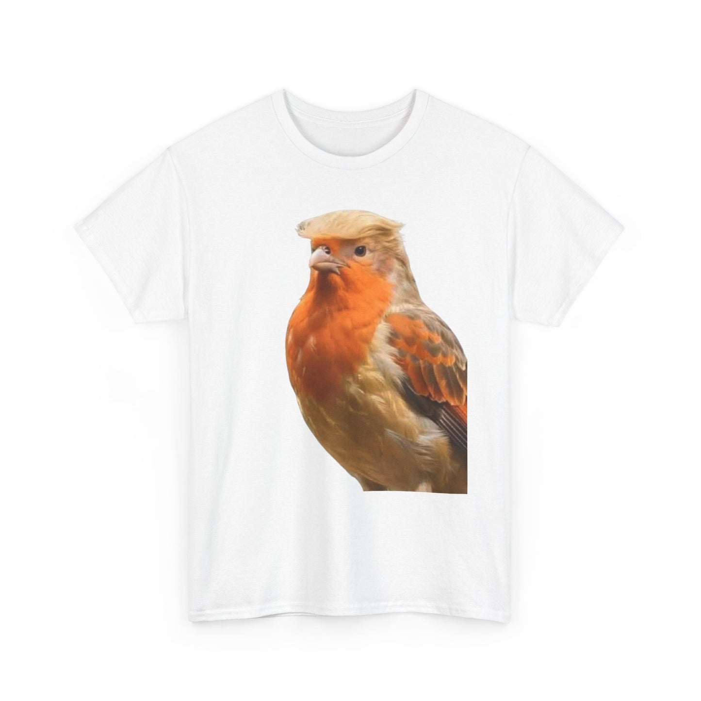 Robin Illustration T-Shirt — Cute Red-Breast Bird Graphic Tee