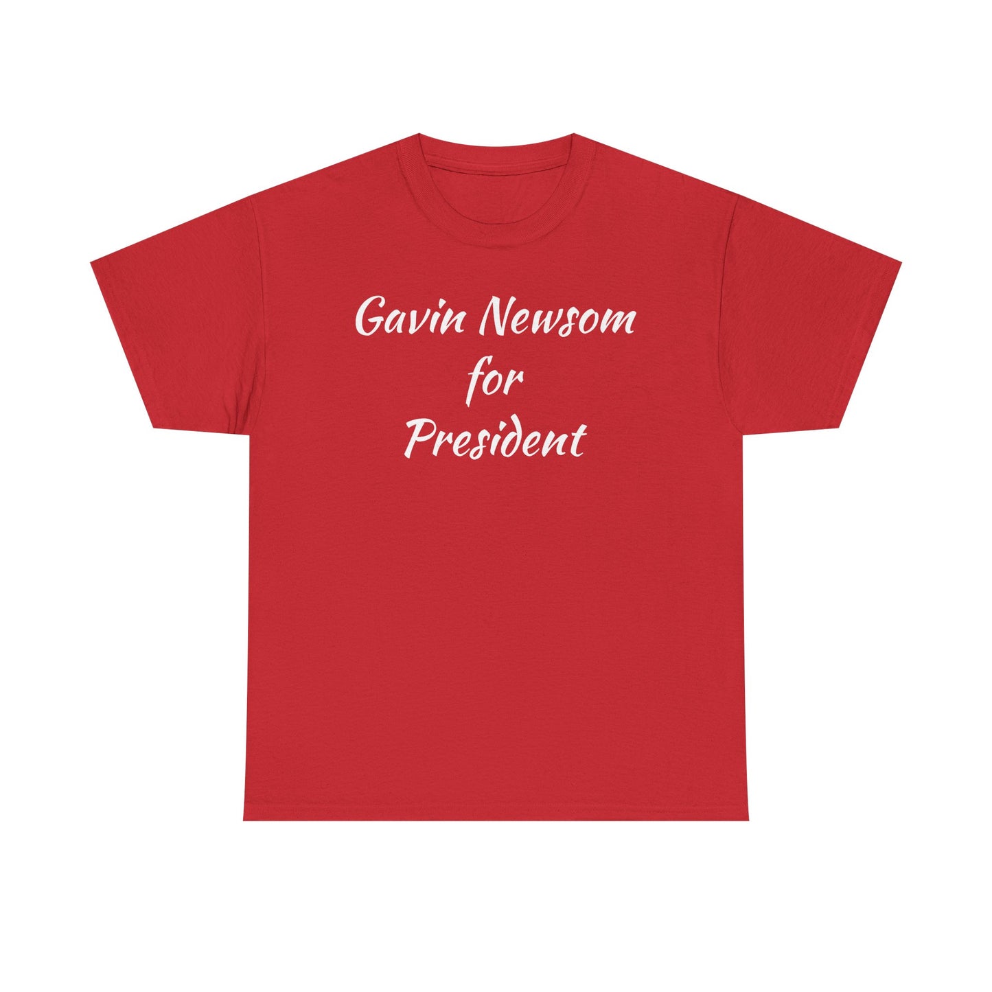 Gavin Newsom Campaign