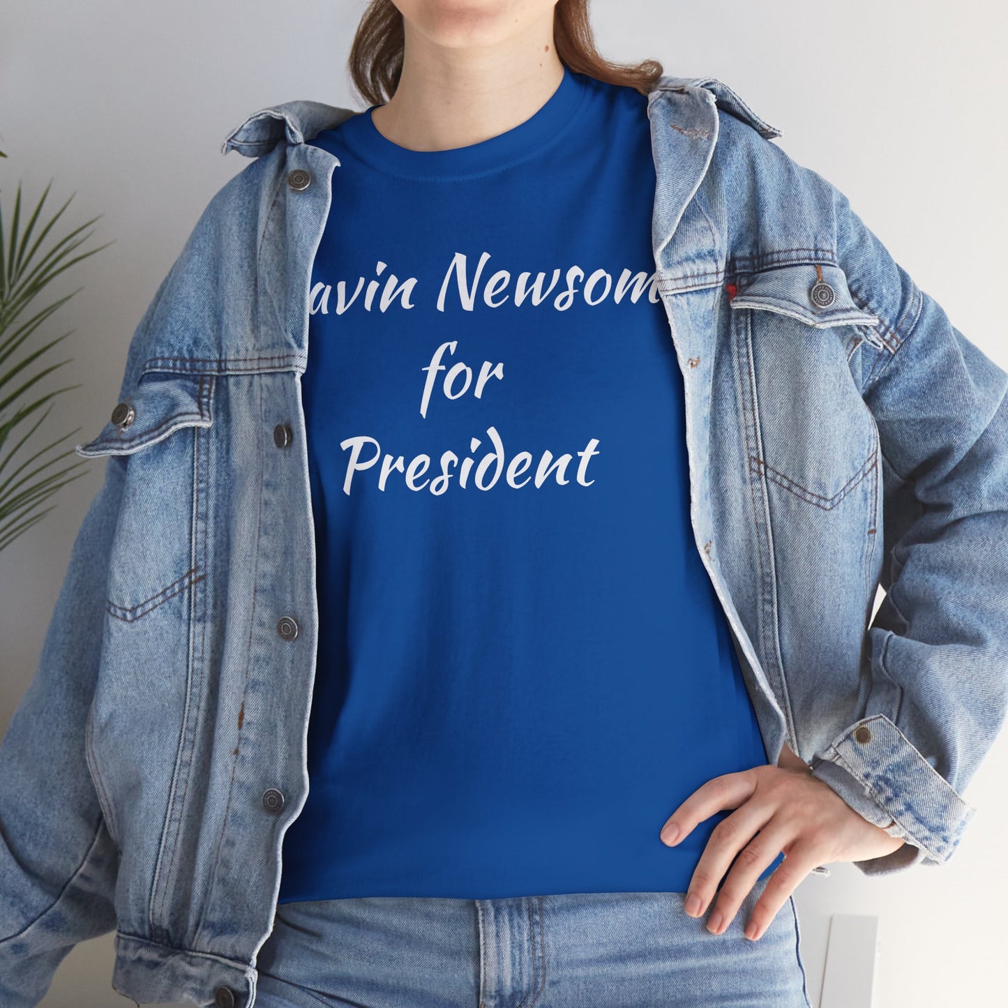 Gavin Newsom Campaign