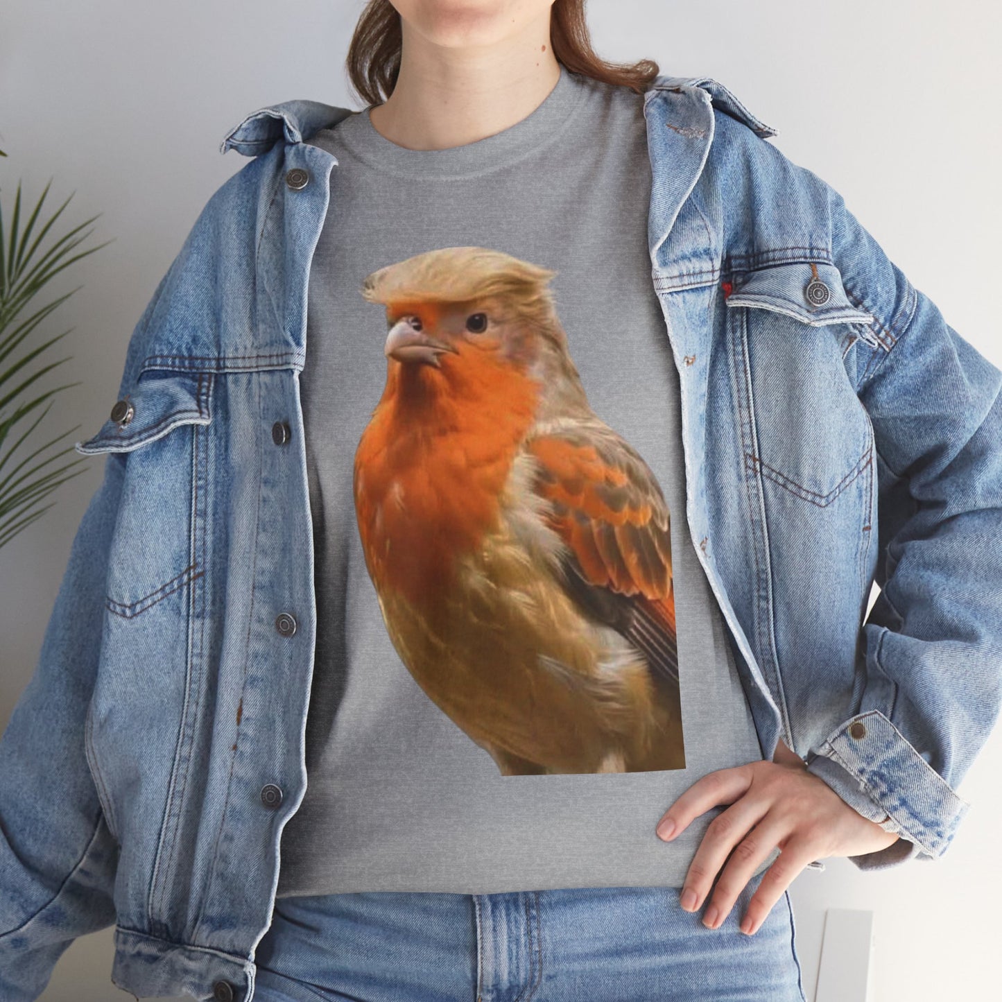 Robin Illustration T-Shirt — Cute Red-Breast Bird Graphic Tee