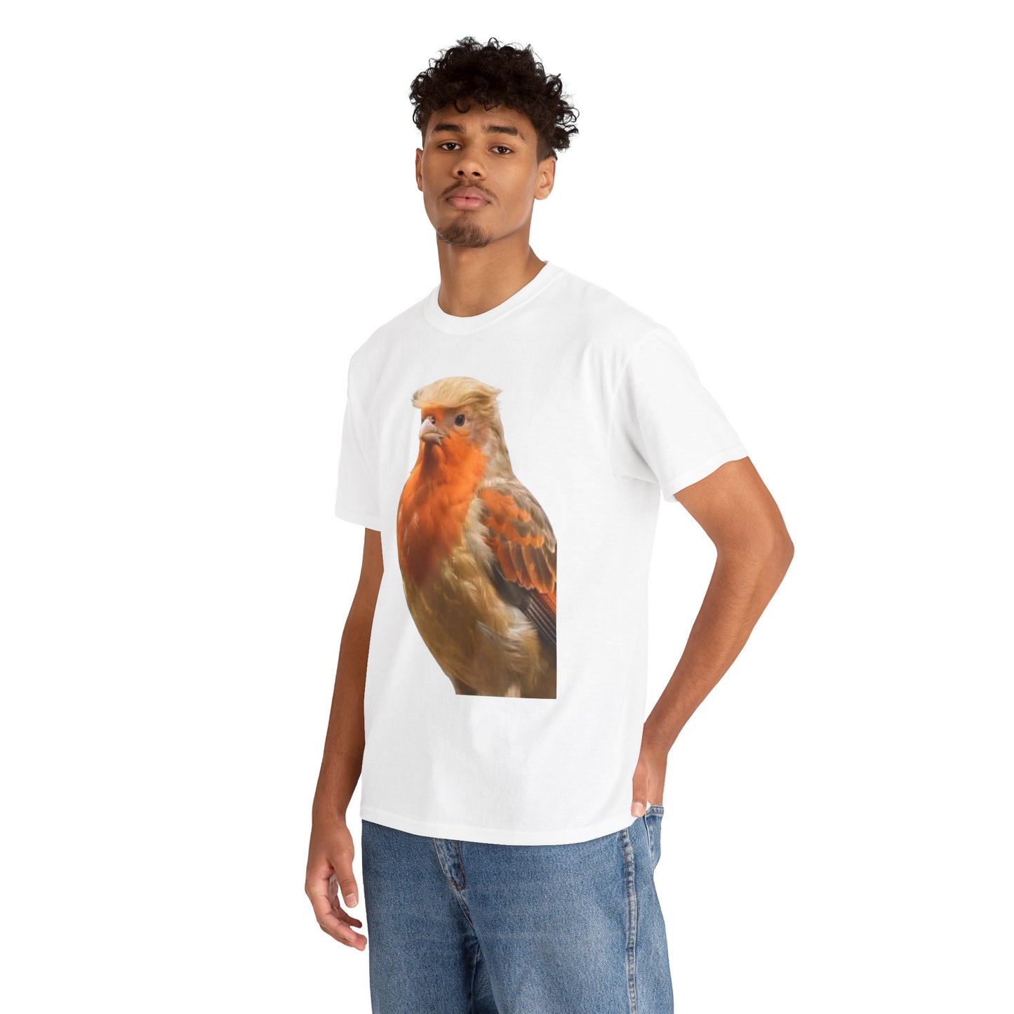 Robin Illustration T-Shirt — Cute Red-Breast Bird Graphic Tee
