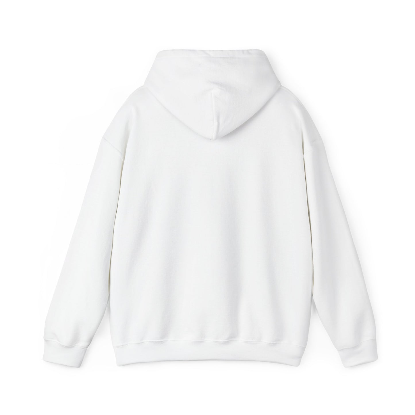 C-RYDERZ DMV Hoodie
