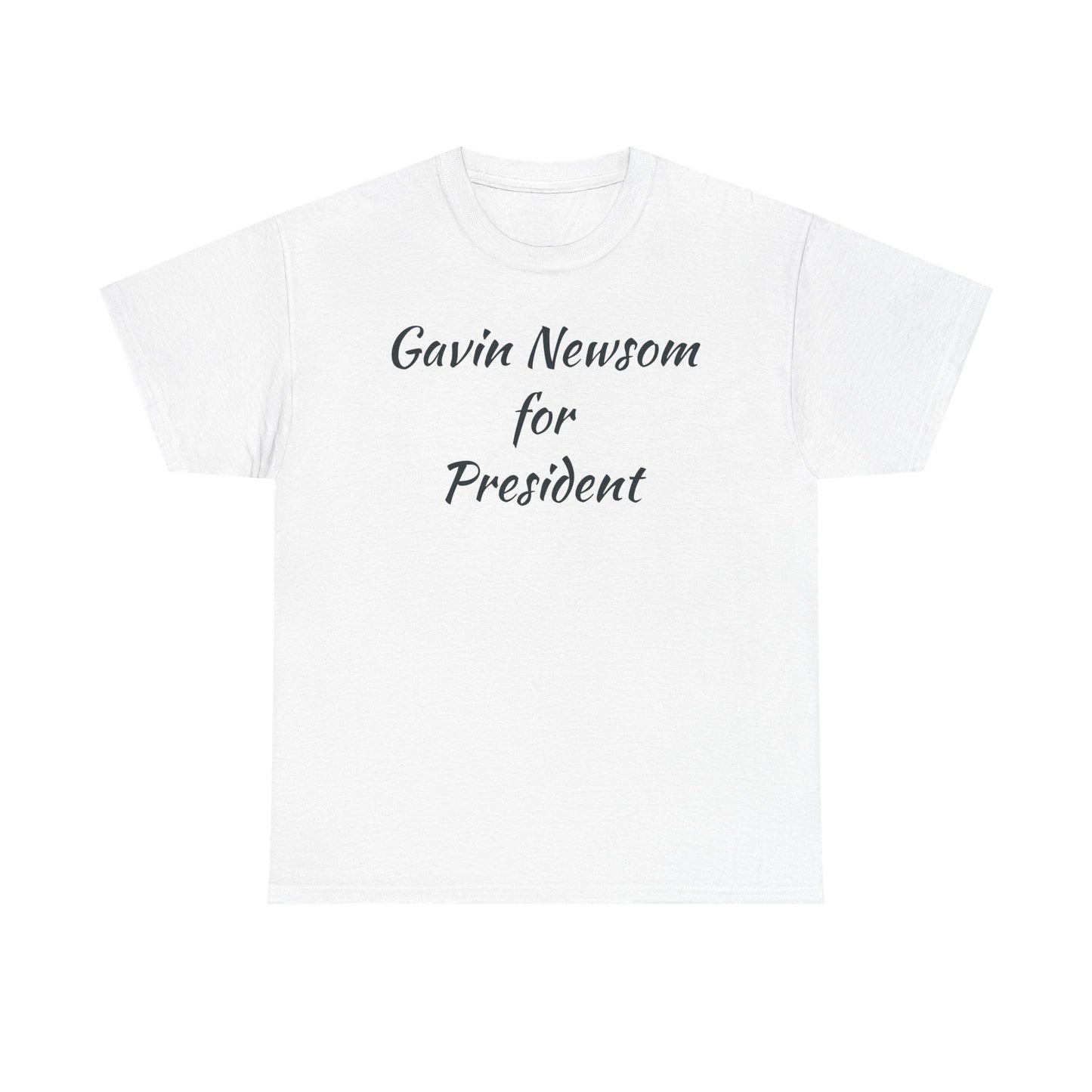 Gavin Newsom Campaign