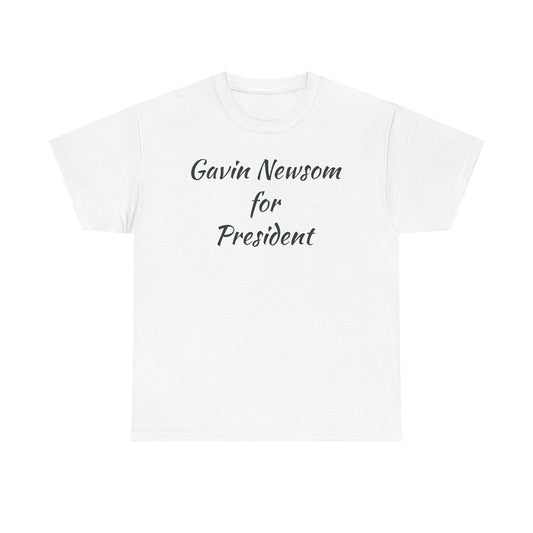 Gavin Newsom Campaign