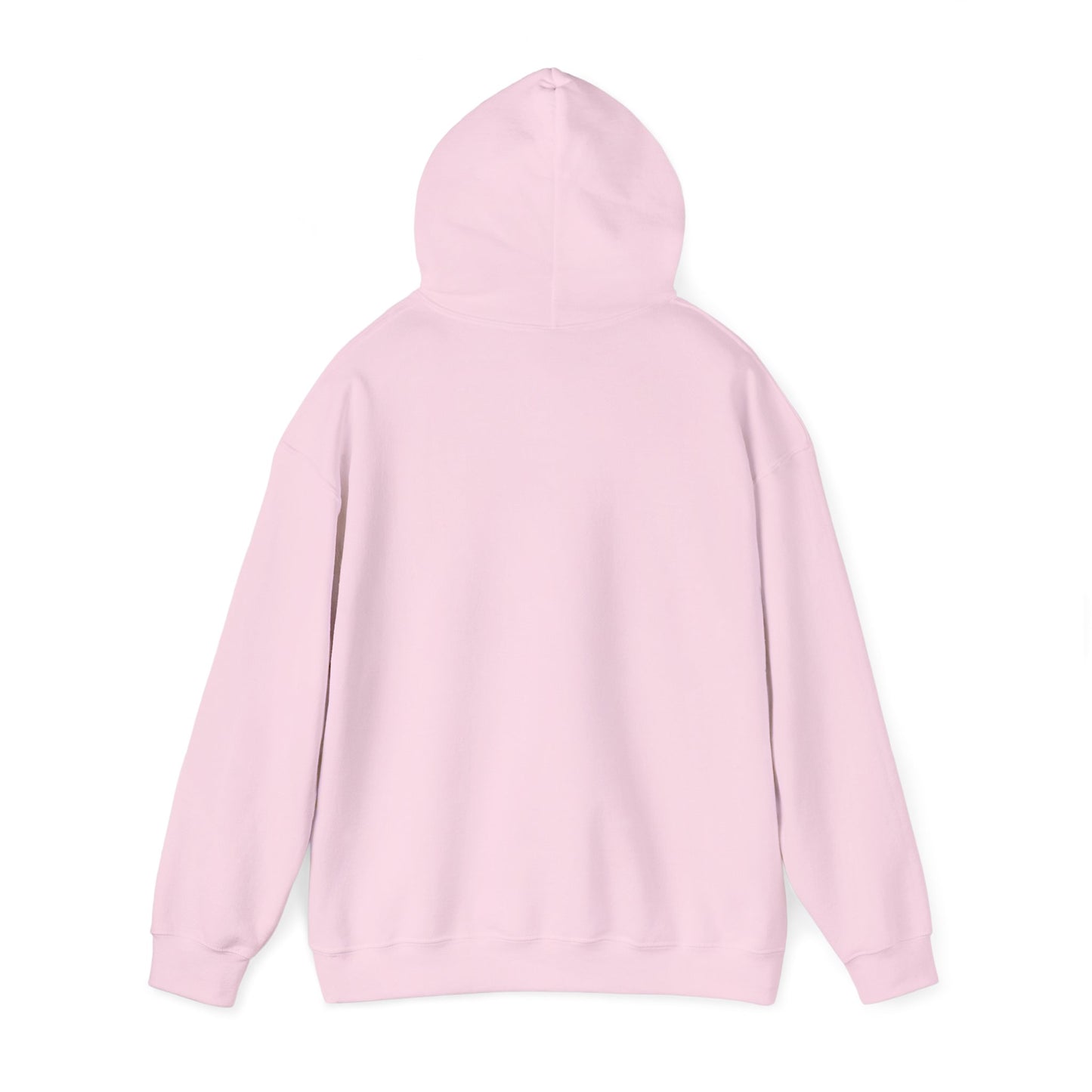 C-RYDERZ DMV Hoodie