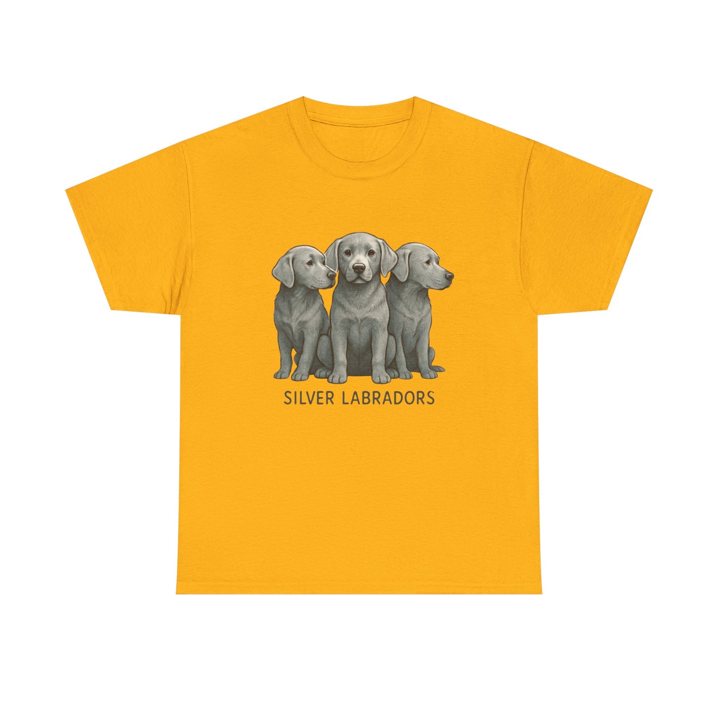 Silver Labrador