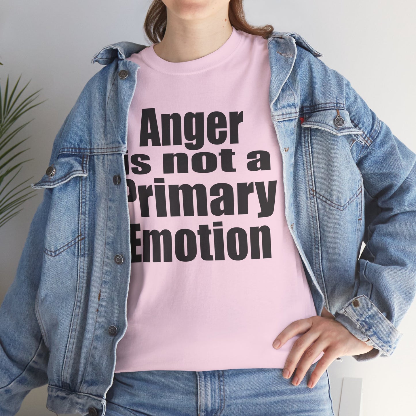 Anger is not a Primary Emotion
