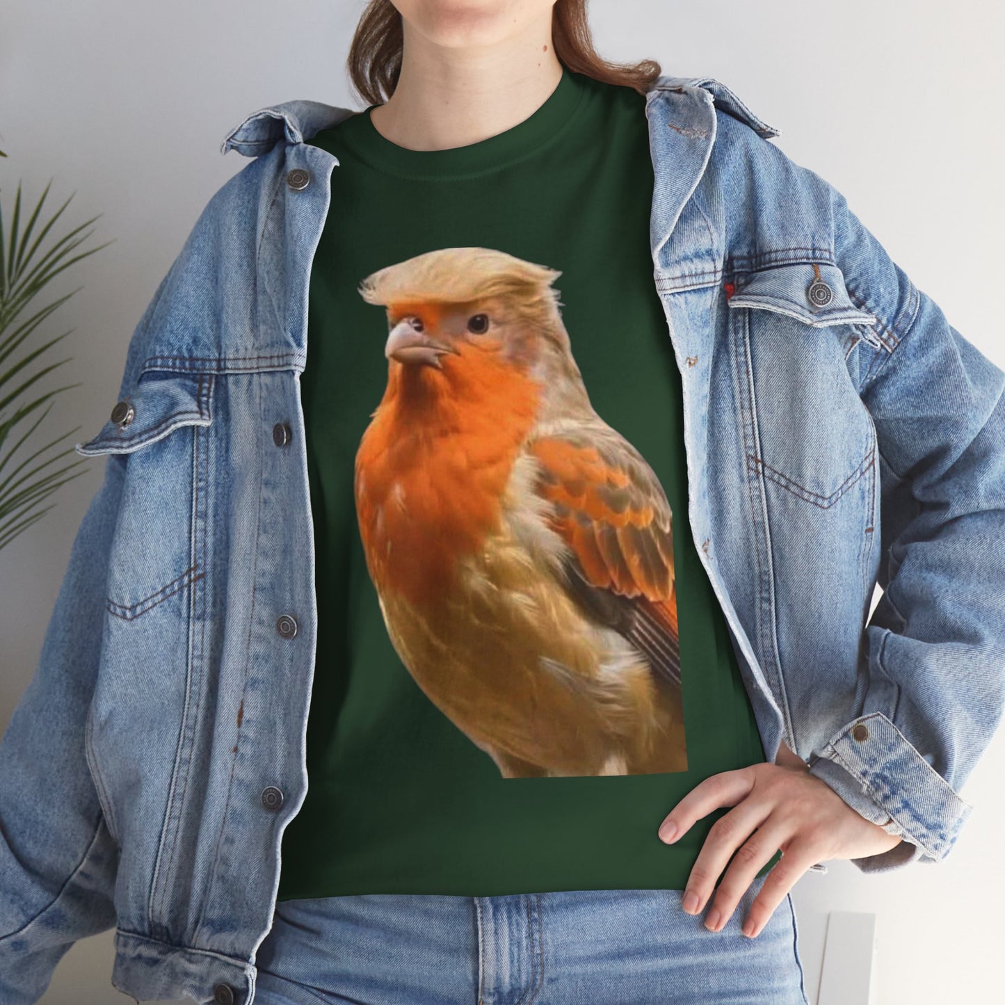 Robin Illustration T-Shirt — Cute Red-Breast Bird Graphic Tee