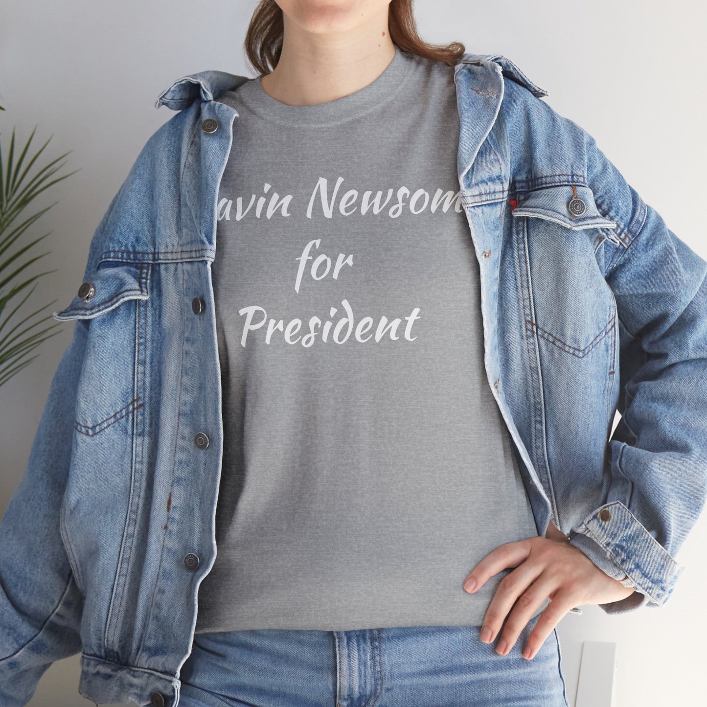 Gavin Newsom Campaign