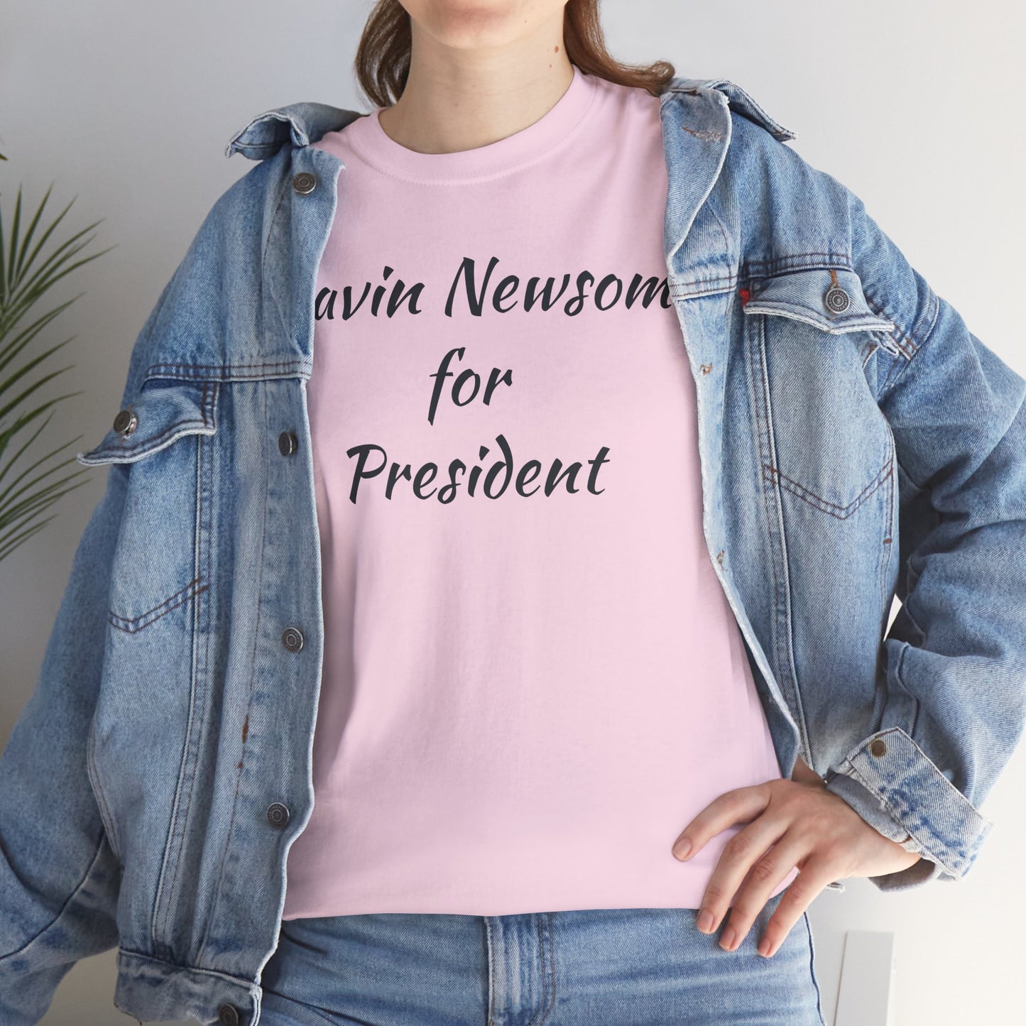 Gavin Newsom Campaign